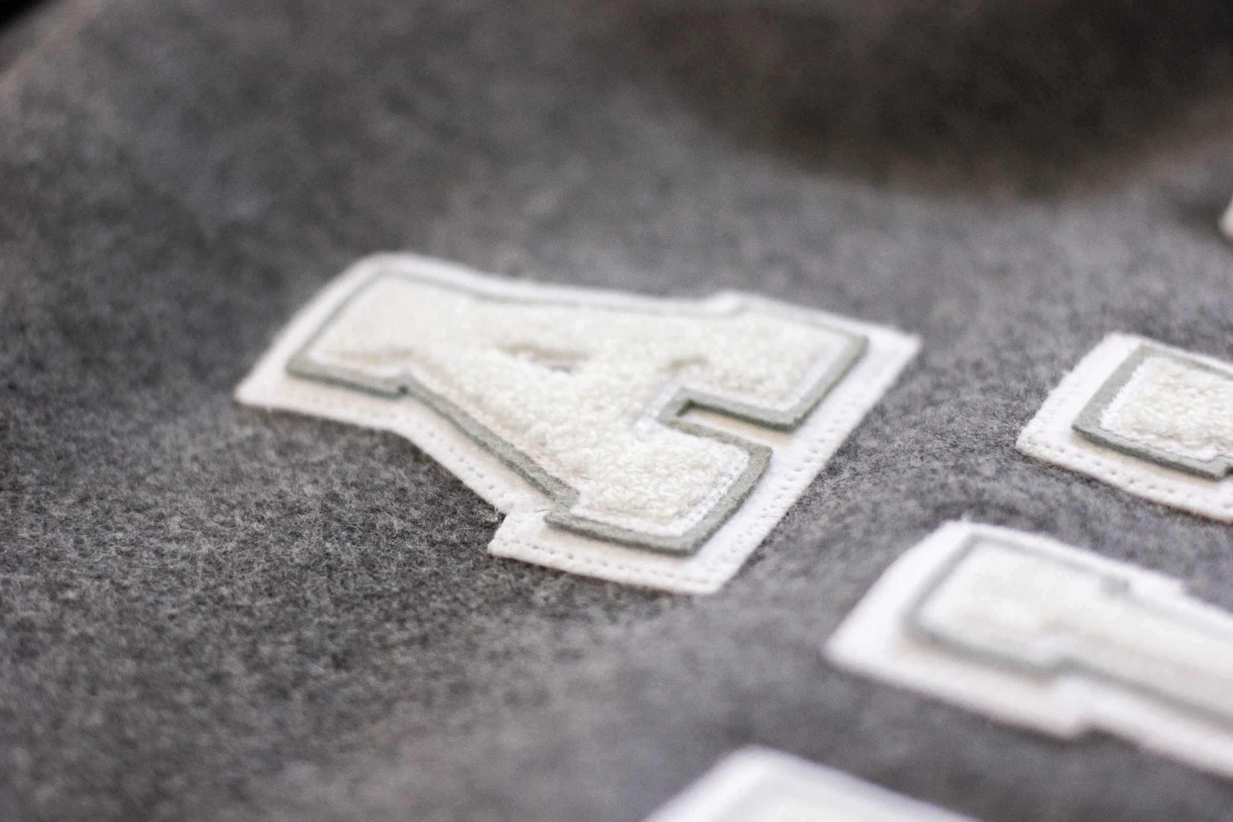 Wildcat-Jacket-Closeup-Lettering.jpg