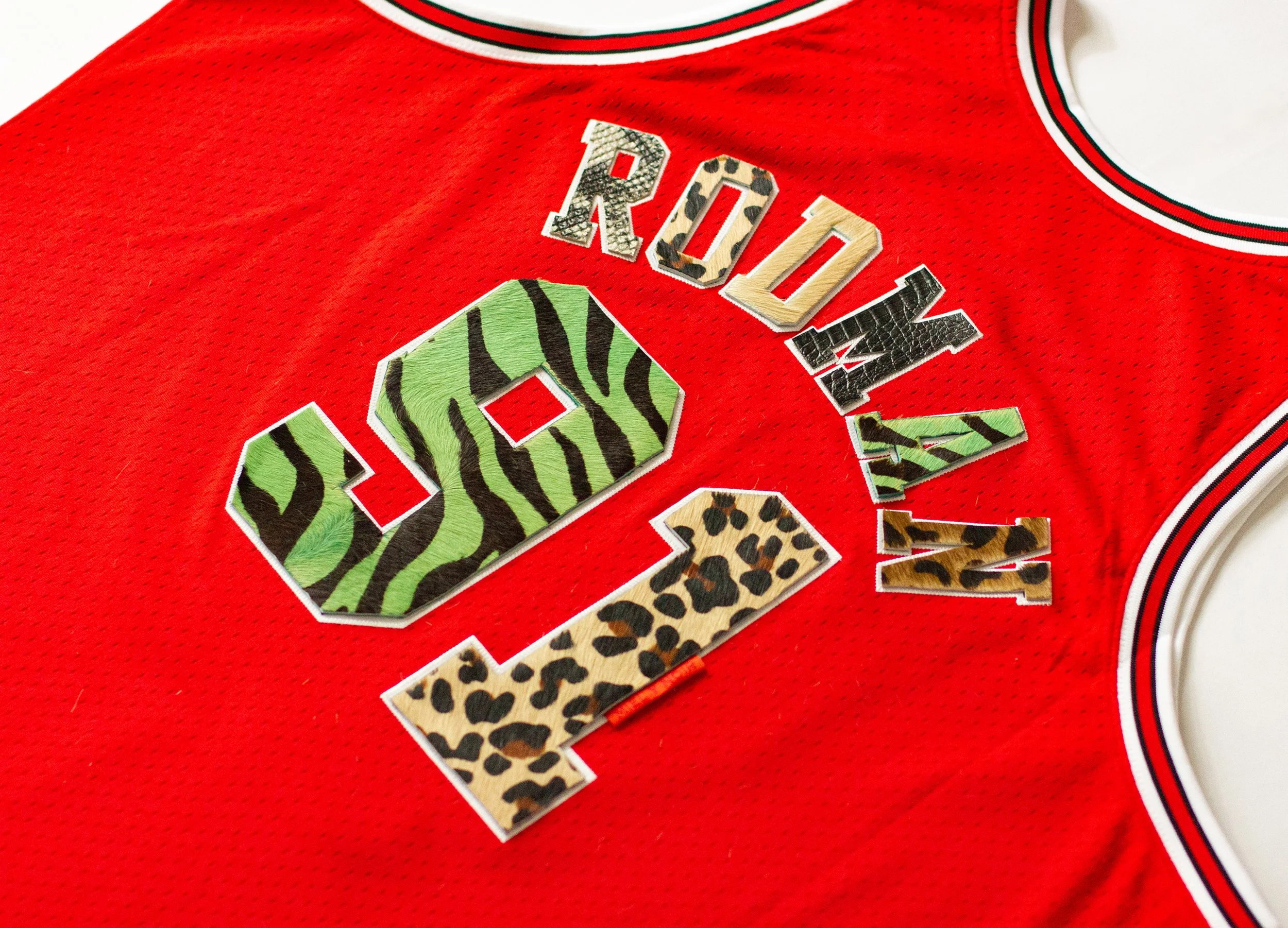 Rodman-site-3.jpg