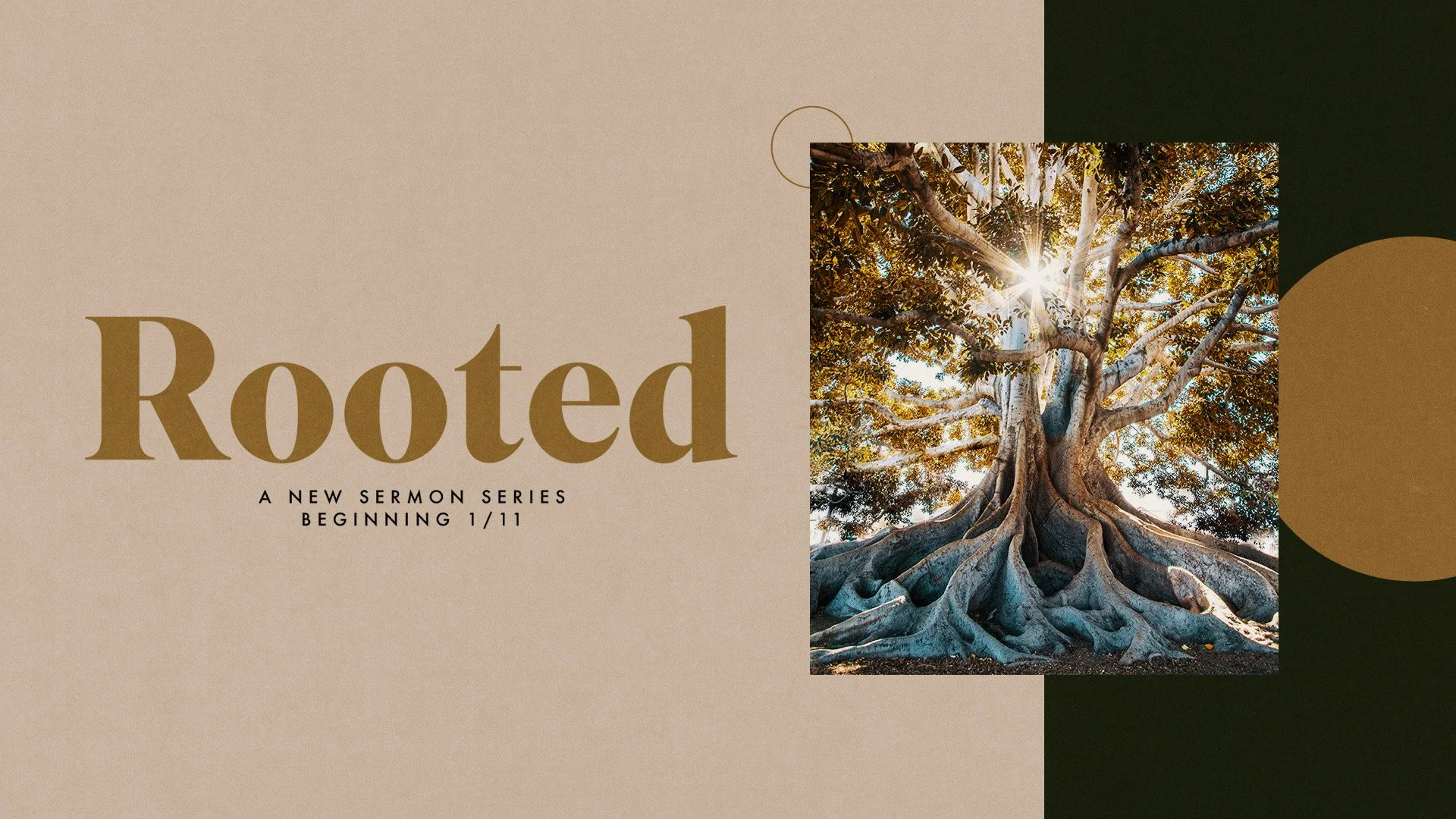 Rooted - New Year Sermon Series
