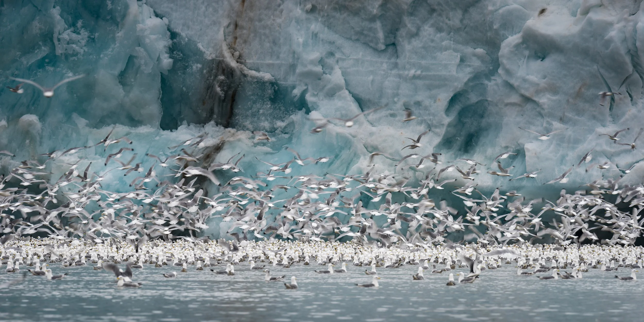 Svalbard-1000.jpg