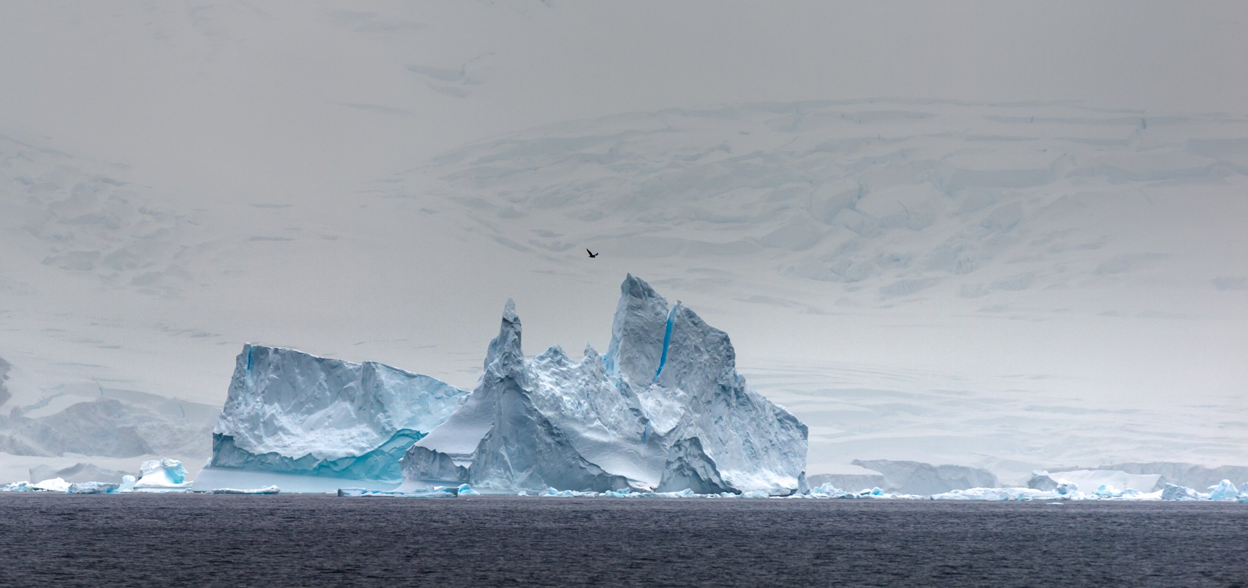 Antarctica-7930.jpg