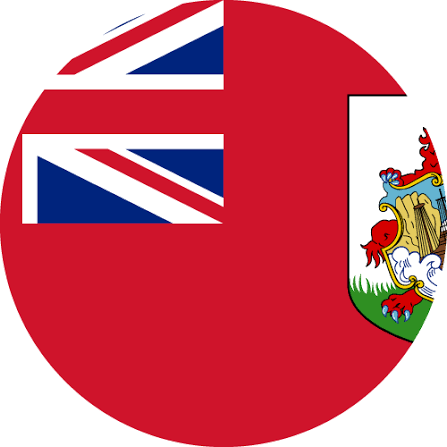 Bankruptcy Search in Bermuda