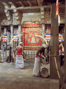 Sri Lanka Custom Trip Planning 