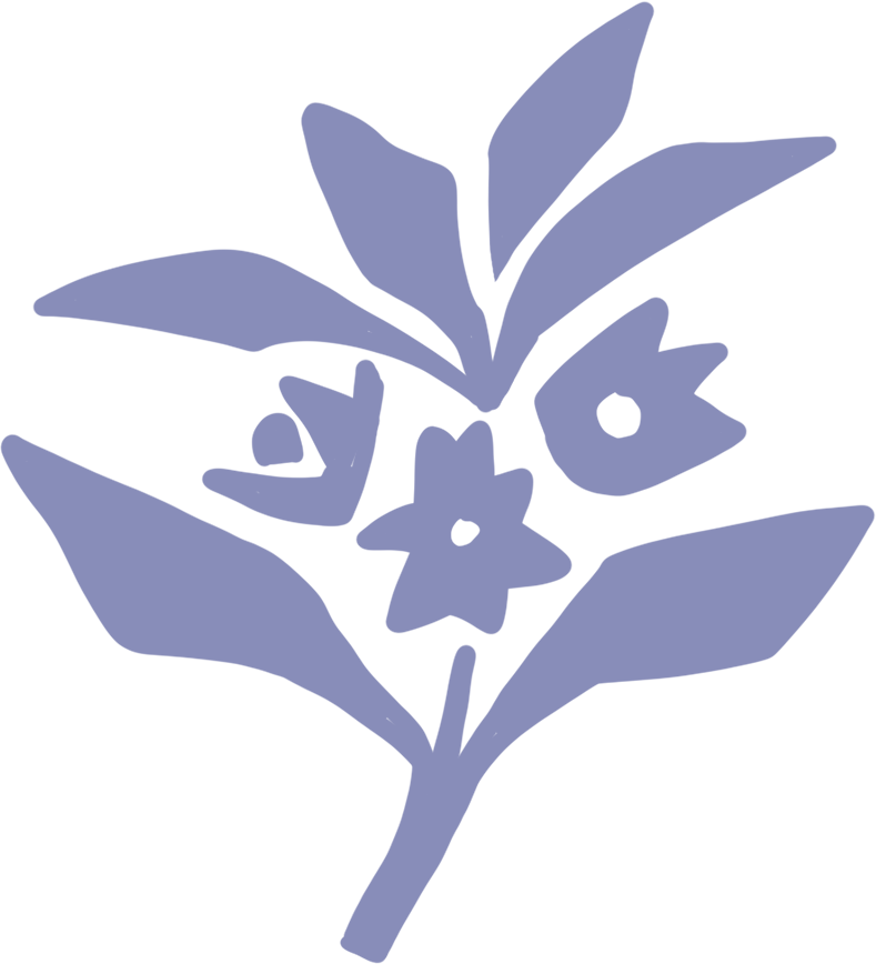 a-membership-and-community-for-bold-women-travelers