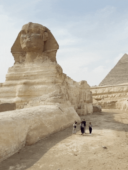 Untitled design (9).gif