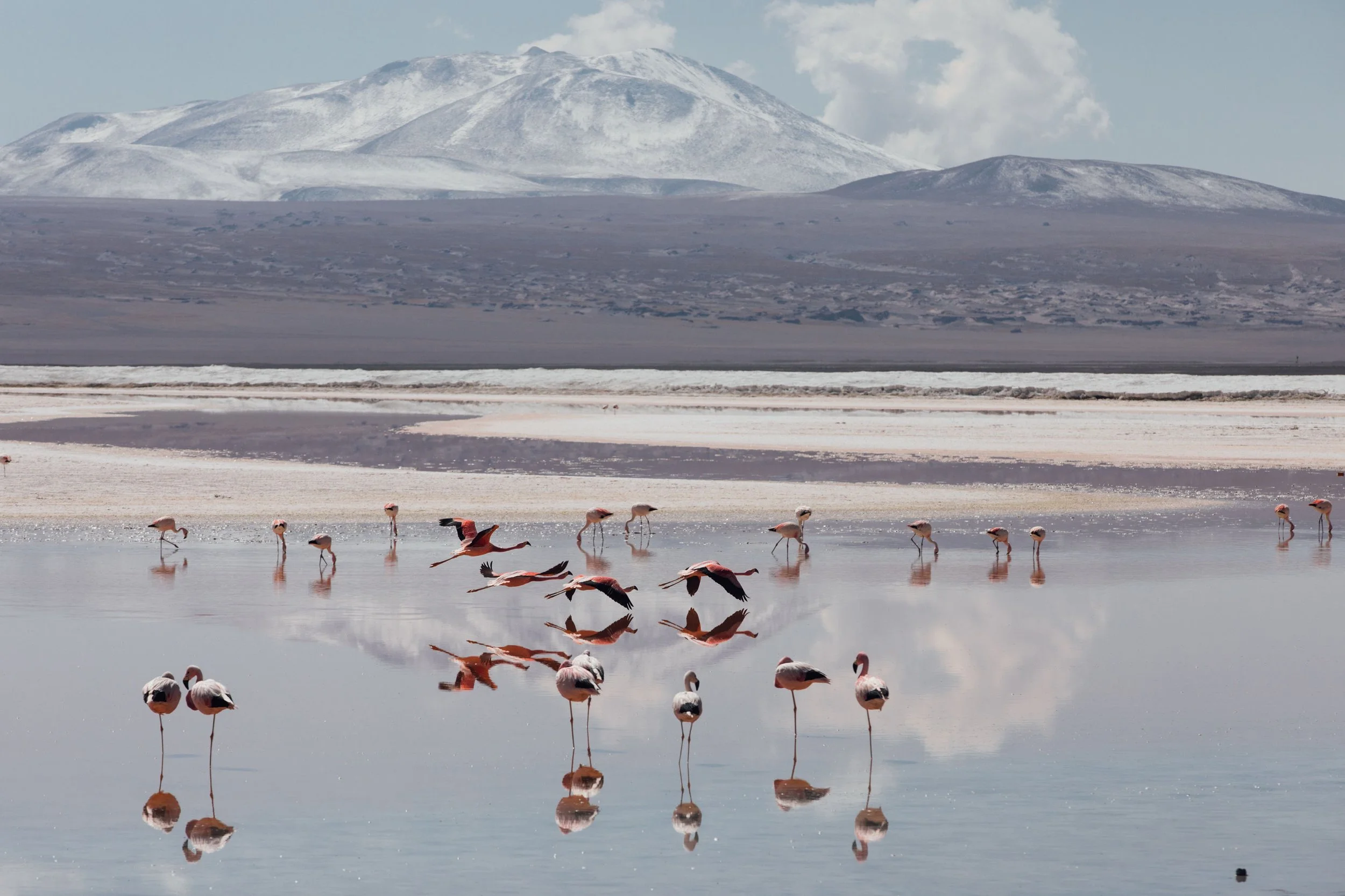 Altiplano-Bolivia_20221208_Simone-Anne-19.jpg