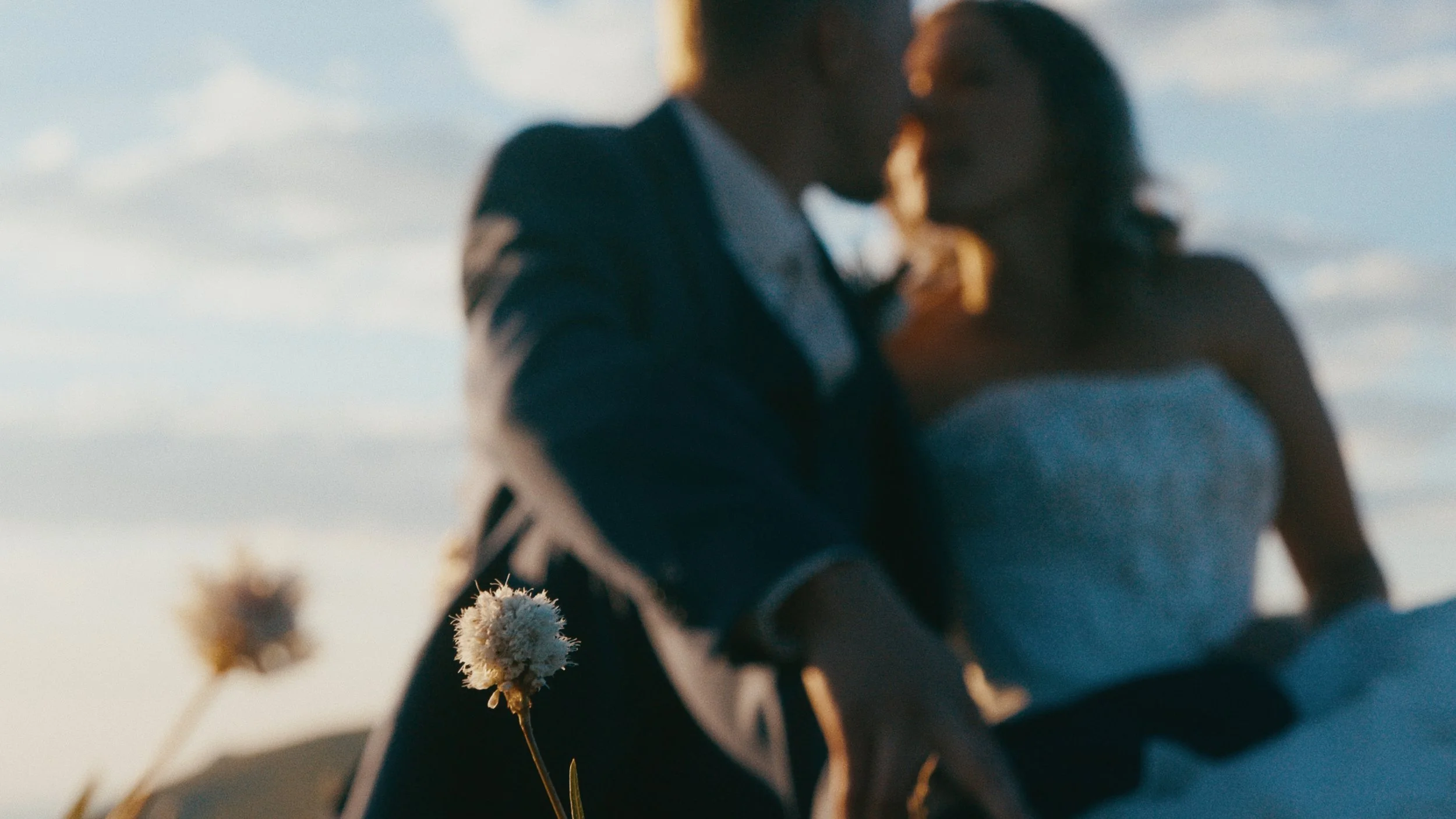 Asheville Wedding Video