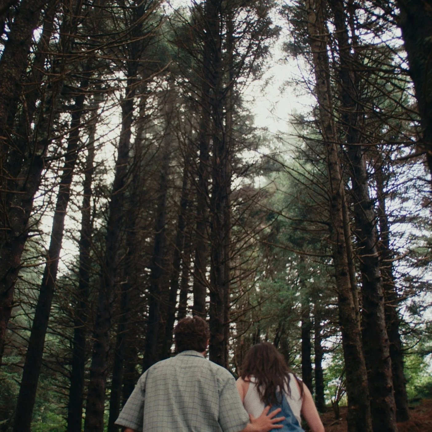 Asheville Elopement Videography