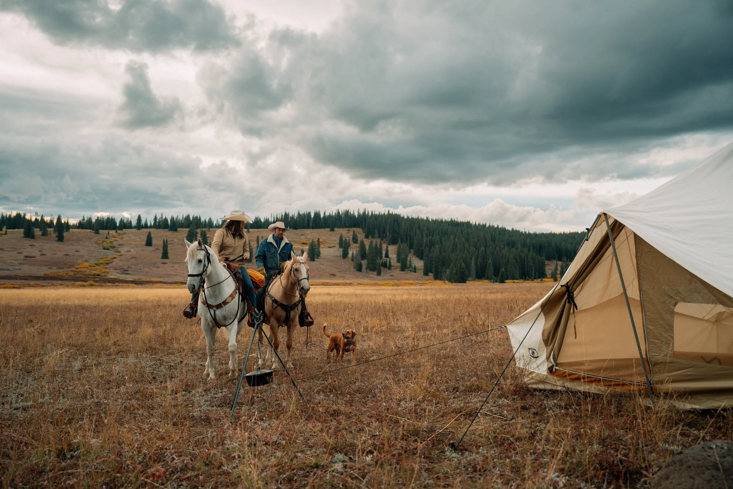 Woofino | Dogs Are Everything