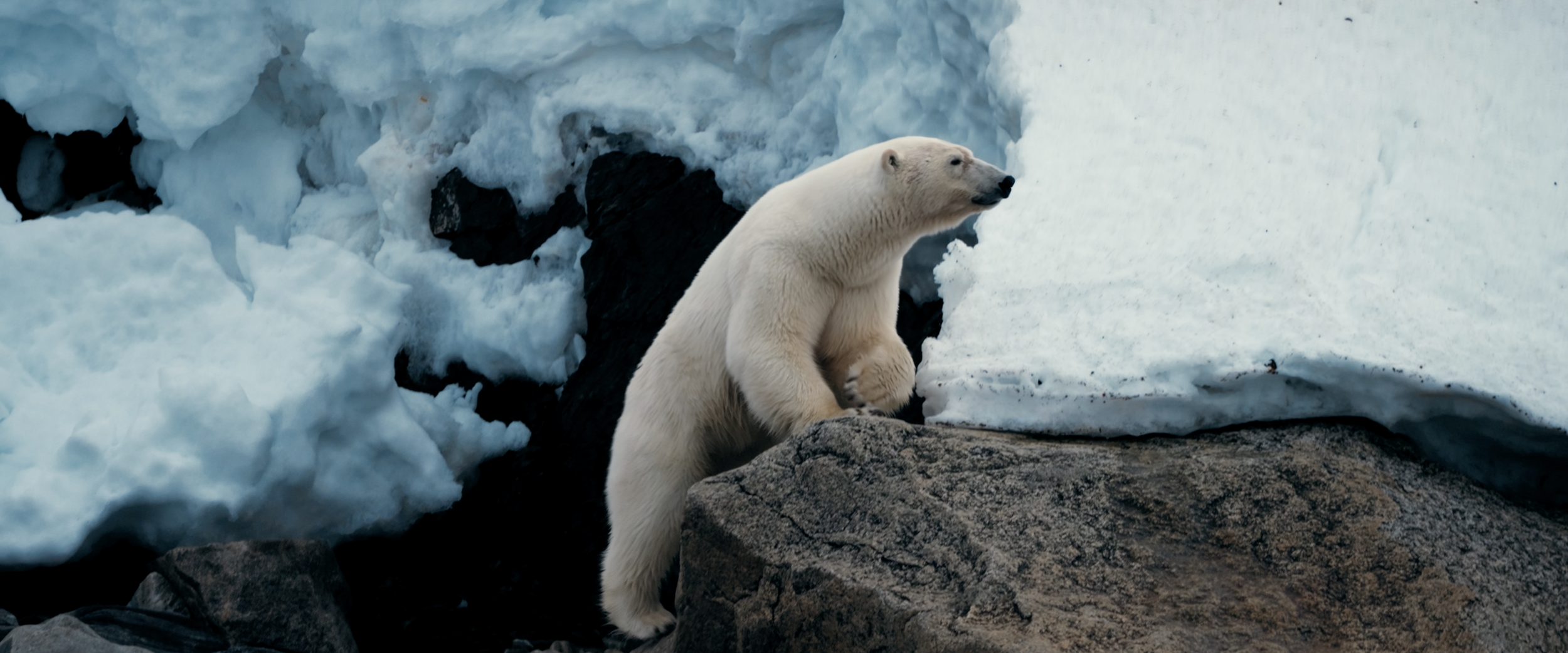 Where the Wind Takes You