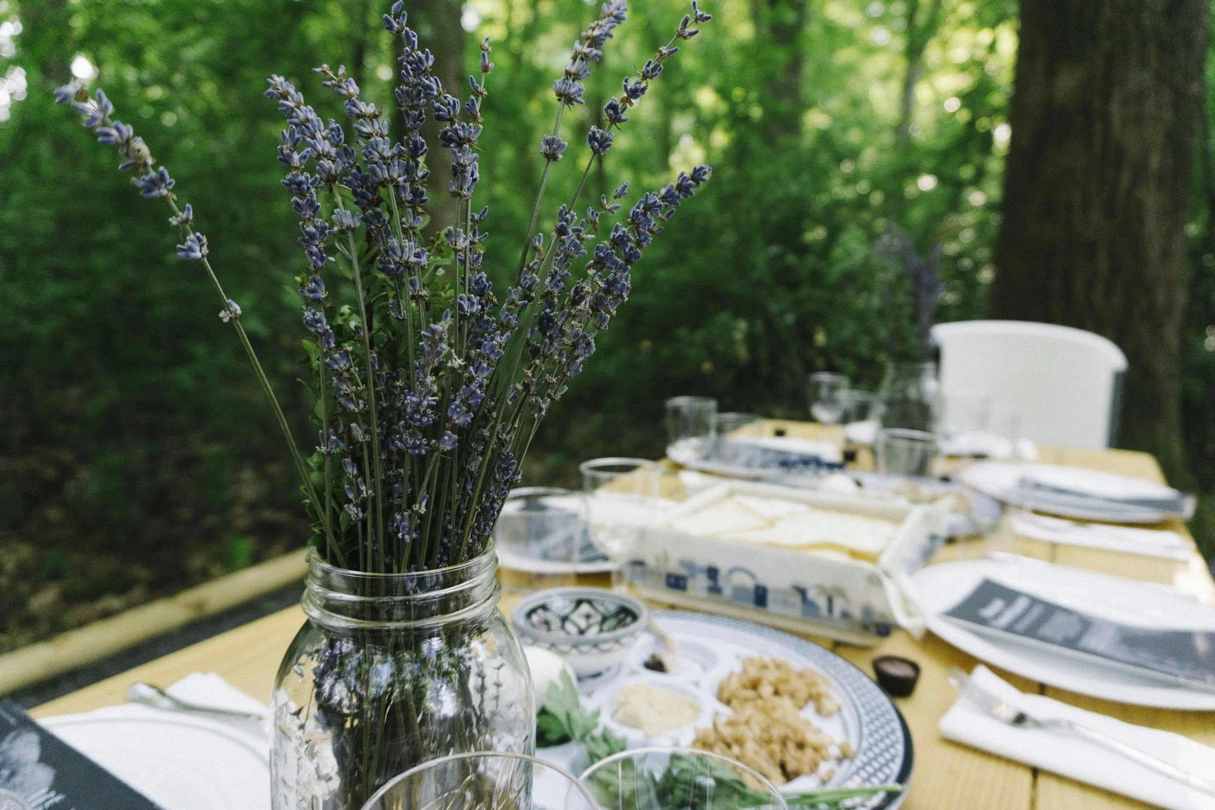 School of Living Jewishly Passover / 100 Ways to Improve Seder