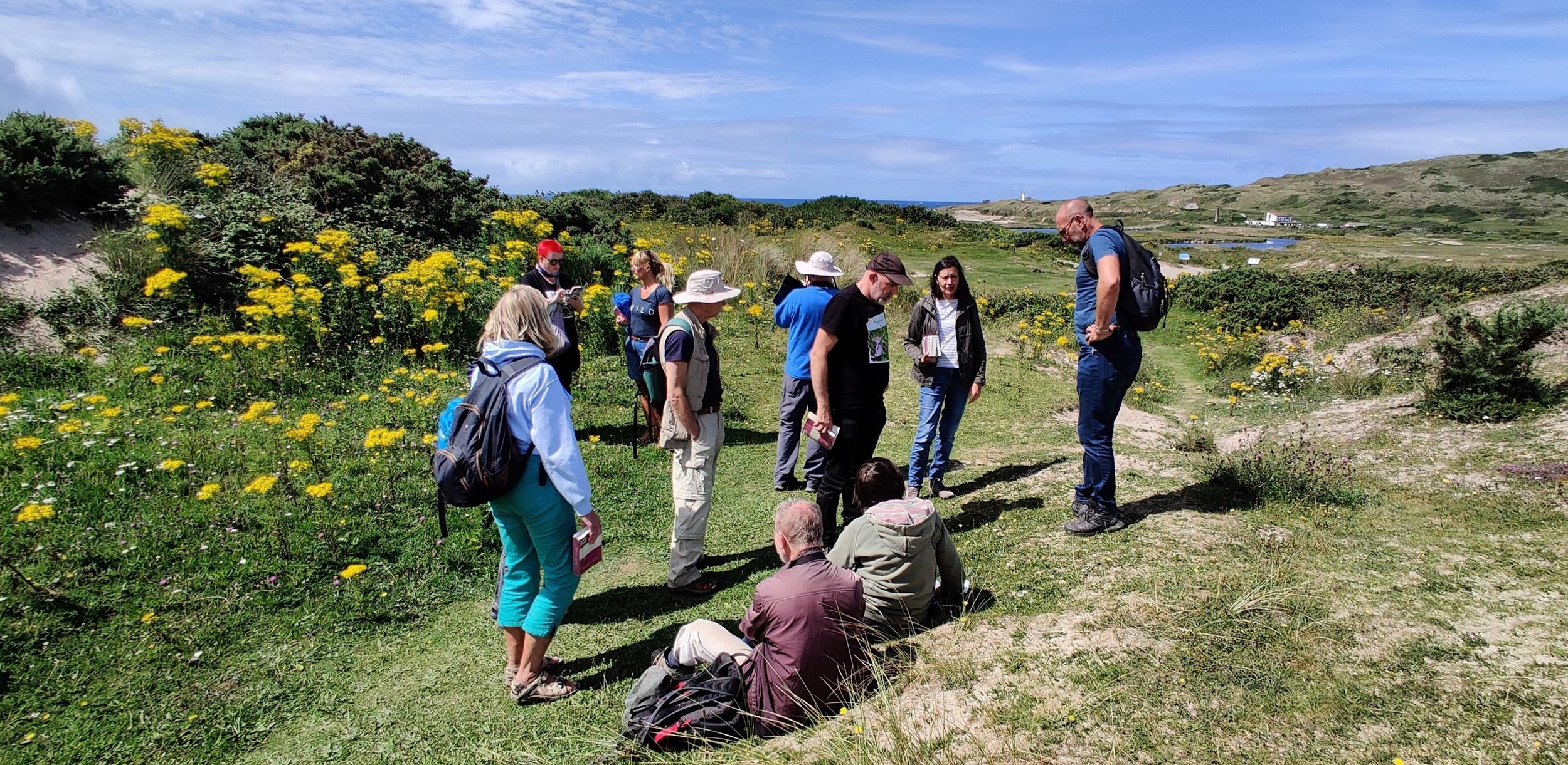 Butterfly Surveying - Dynamic Dunescapes
