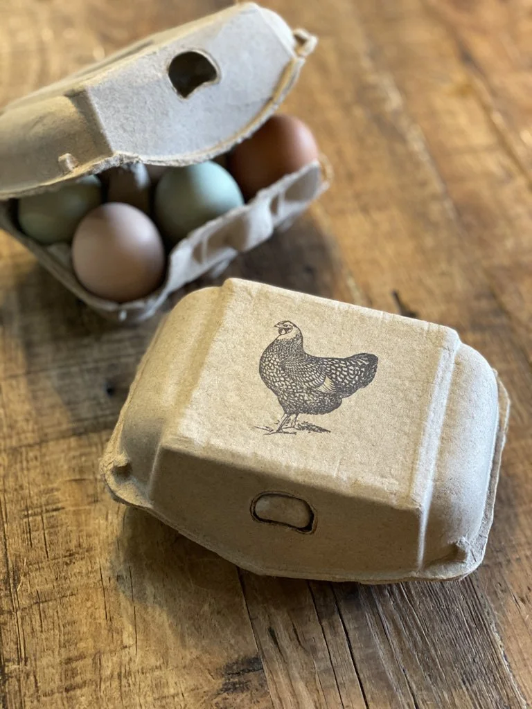 eggcarton.jpg