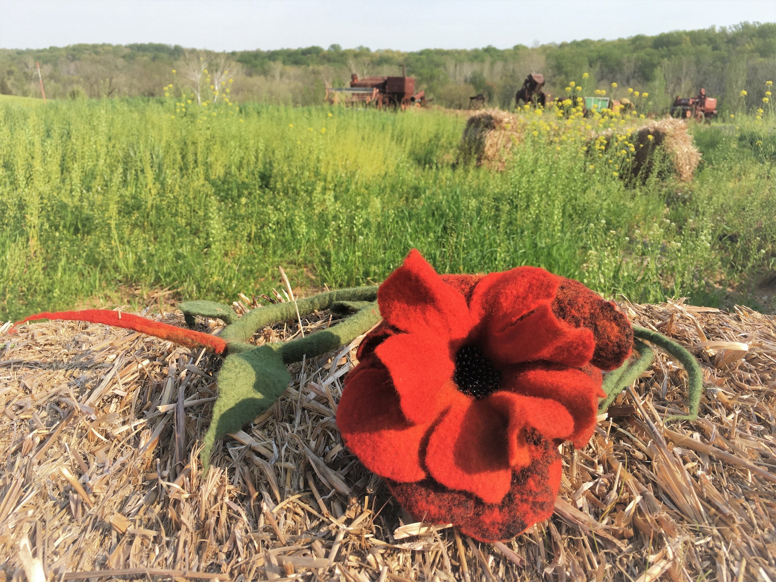 Felt poppy necklace/lariat