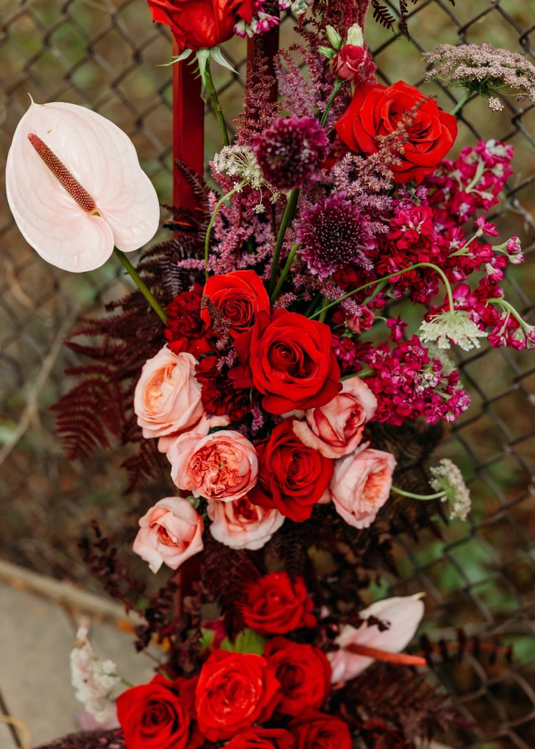Close-up of red roses, pink garden roses and burgundy blooms