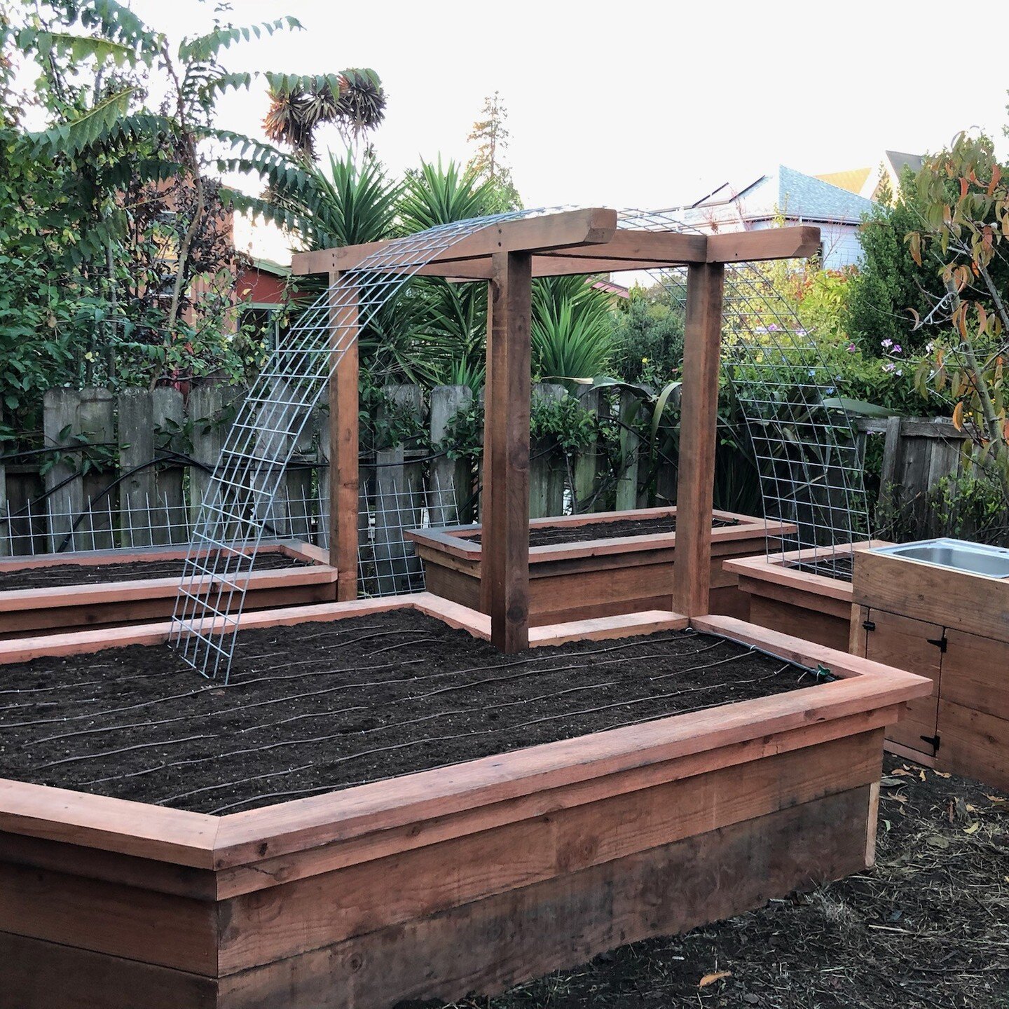 Our latest garden design/build in Berkeley CA. The client and I had fun incorporating the sink, cabinet, arbor and trellis into the design. Next up are the plants!

#gardendesign #gardenbuilding #eatlocalgrown #estbaygardening #newfoundfoodscapes #or