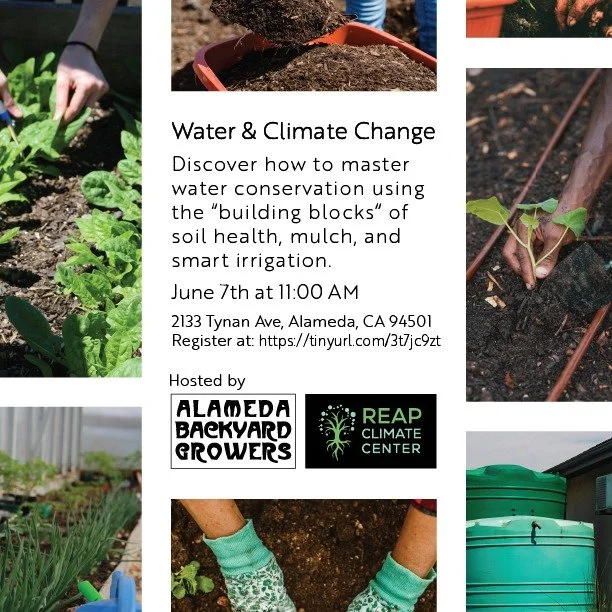 (FREE) Secrets of Sustainable Landscaping: Water &amp; Climate Change

REAP Climate Center Campus
2133 Tynan Ave
Alameda, 94501

Sunday, 06/07/2026
11:00am PDT - 1:00pm PDT

Register here: https://tinyurl.com/3t7jc9zt

Join ABG and Alameda County Mas