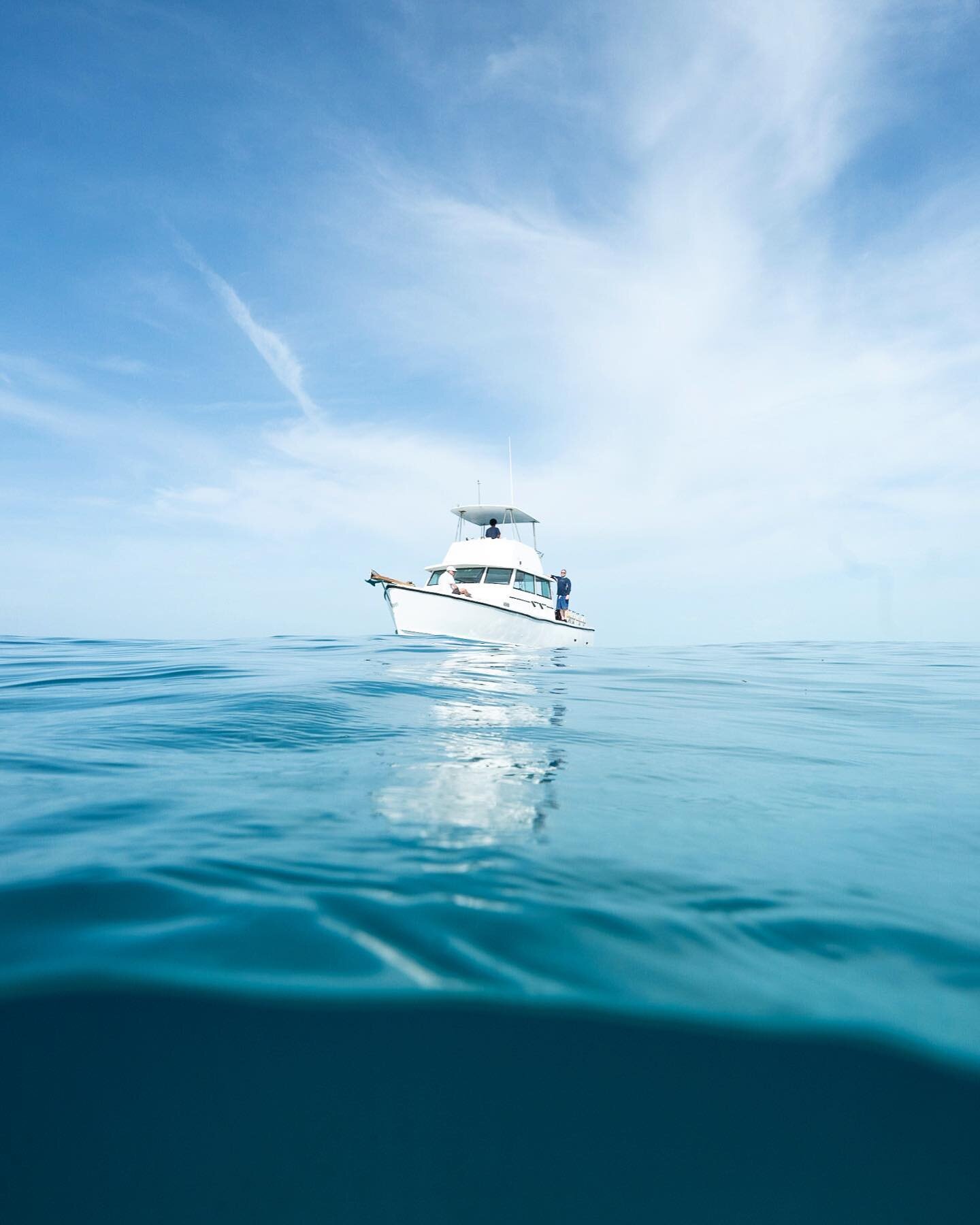 Perpetually searching for pelagics&hellip; Spending the next week out at sea with @nomad_diving on our annual #marlinrun expedition in Baja, Mexico. Apologies in advance for any delays in response :)