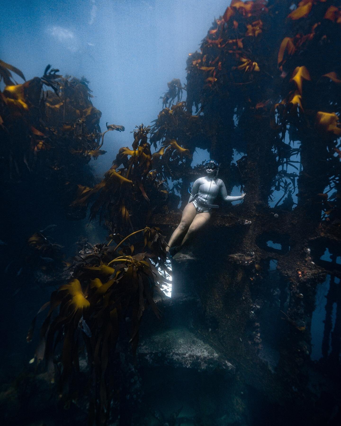 Casual hangs in kelp 🌿

Endless exploration in the Antipolis wreck with @zandithemermaid 💕