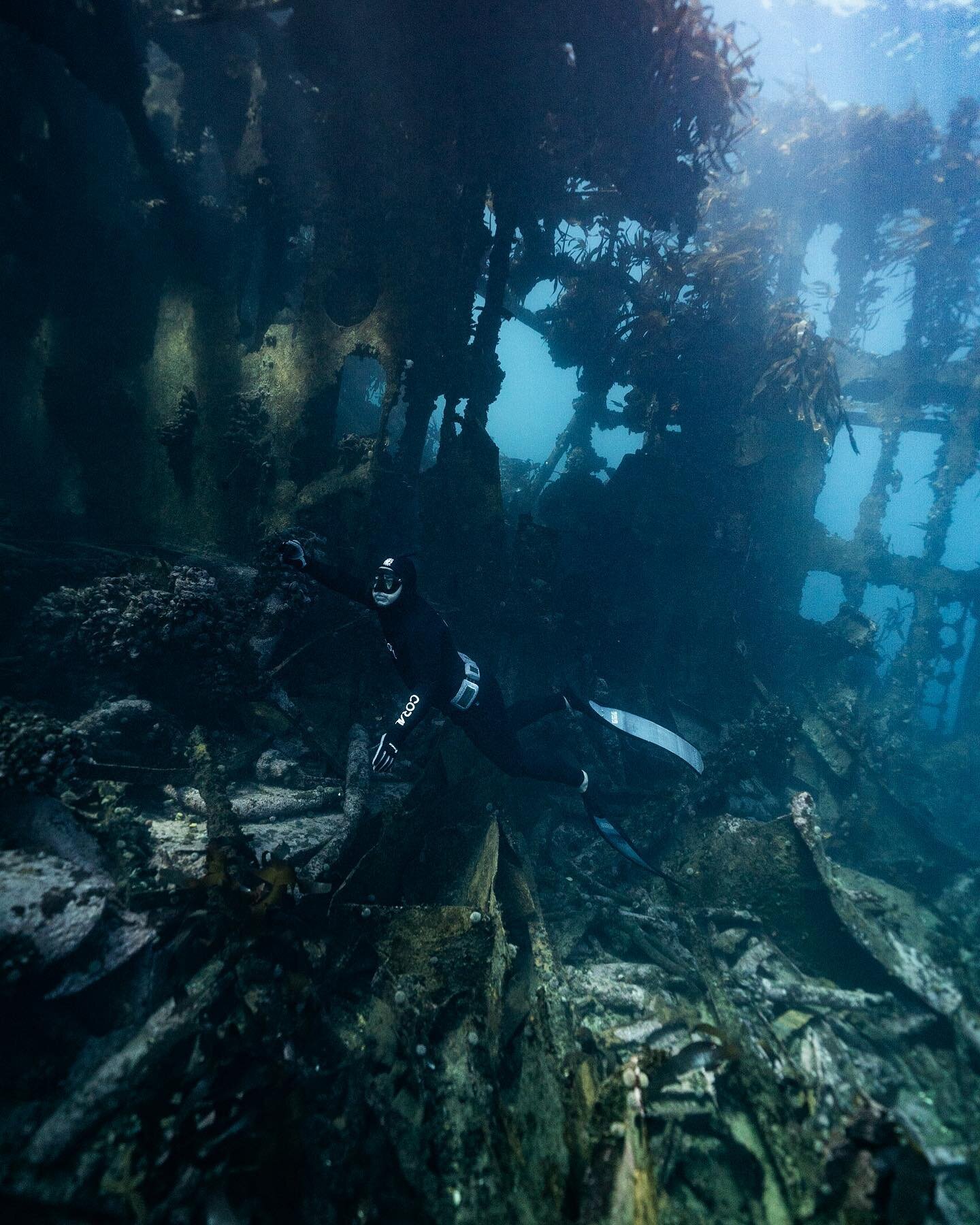 Antipolis photo dump from a crystal clear day in the Atlantic 💎 This wreck has got to be one of my new favorites. Open to any recommendations for freedive/scuba spots!