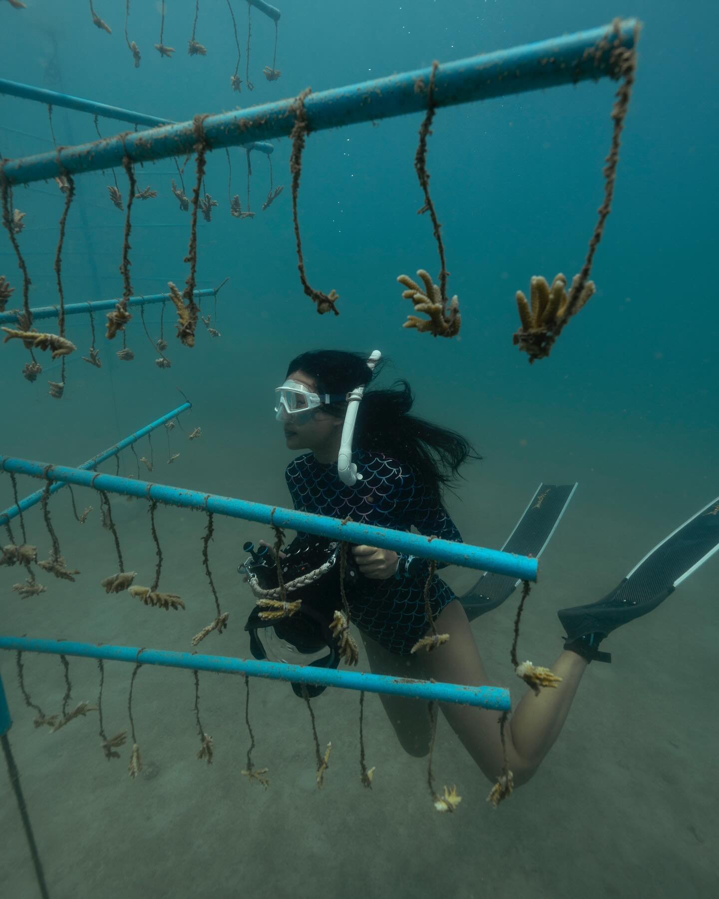 CORAL GARDENERS THAILAND

This month, I had the immense privilege of joining the @coralgardeners team and fellow Ambassadors @ployscott @notep @meganhassa on Koh Mak to prepare for the official launch of Coral Gardeners in Thailand. It was truly spec