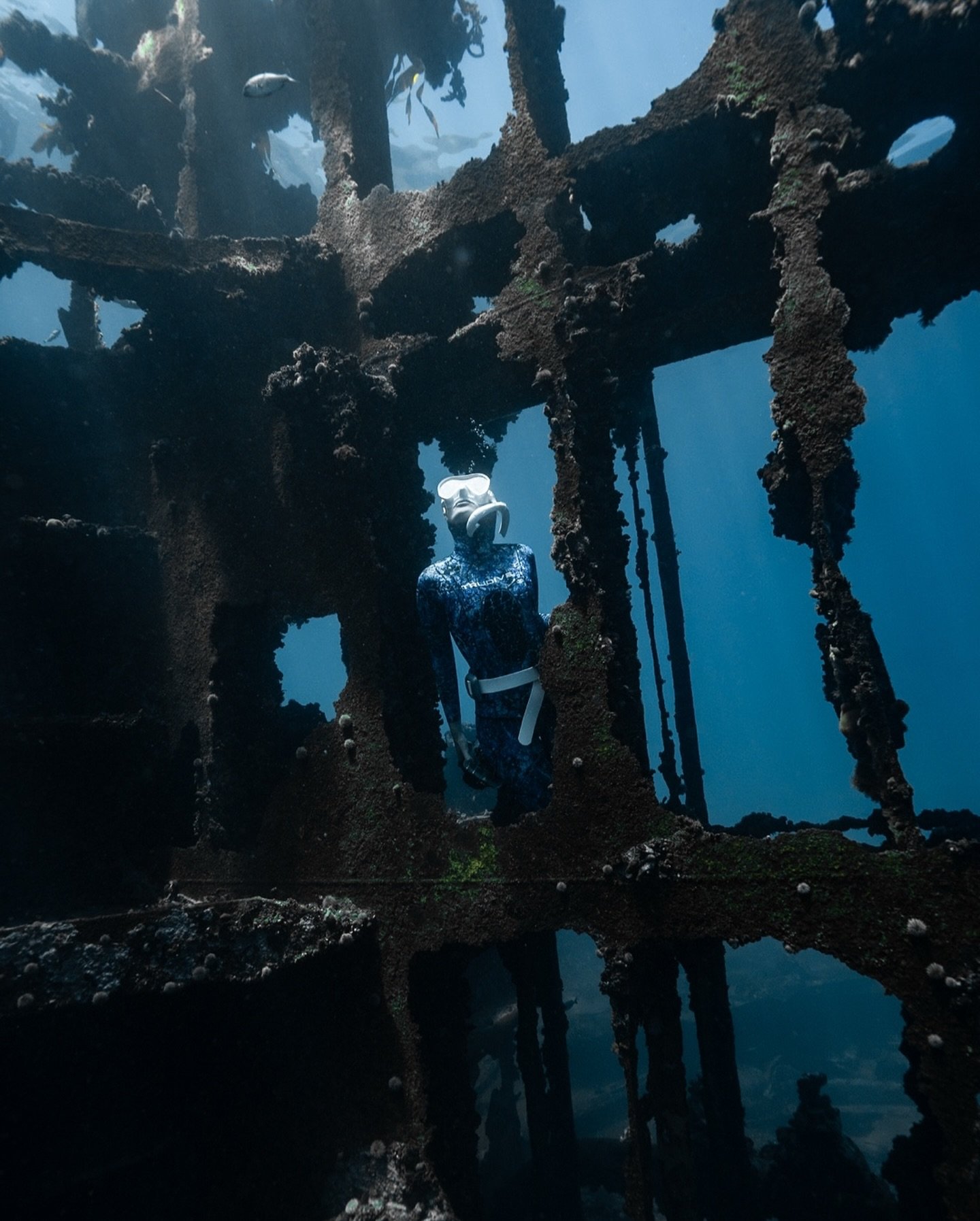 &ldquo;Photography is a gift. You don&rsquo;t take photographs, you&rsquo;re given them.&rdquo;

From one of the craziest crystal clear days in the Atlantic diving with friends, where every moment felt like a gift 🤍