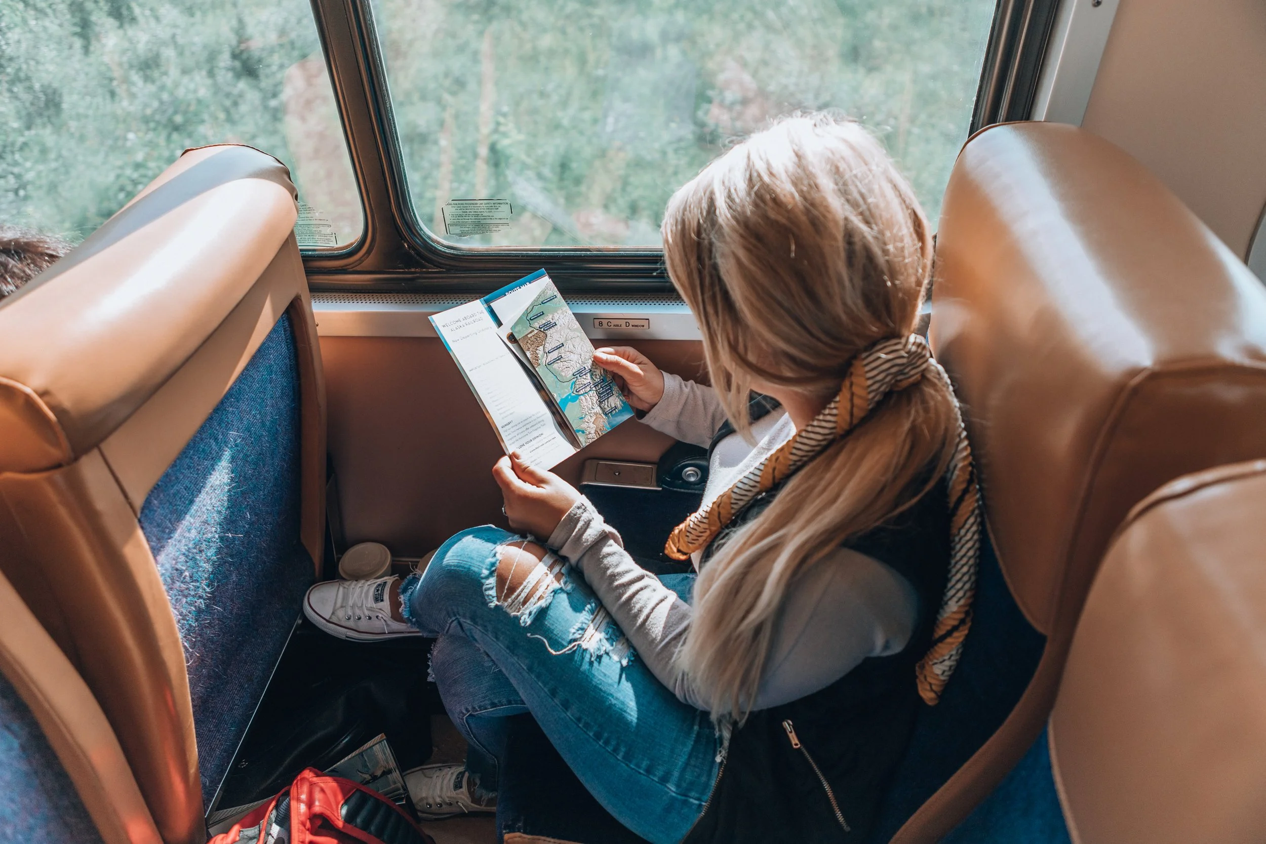 Alaska - Travel by Rail.jpeg