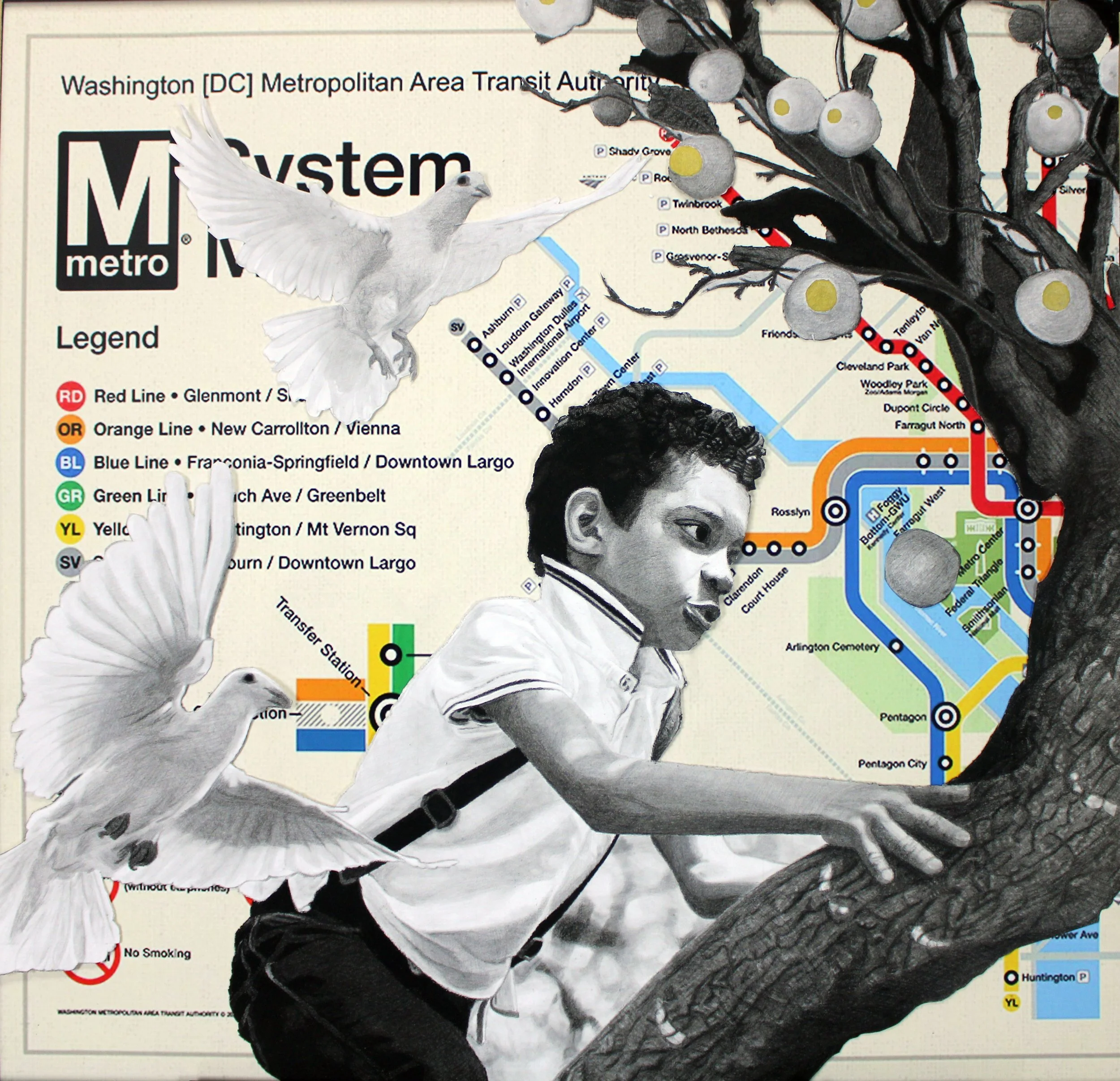 "SEEDS..." (charcoal, graphite, and acrylic drawing on DC metro map, 31 5/16" x 30 1/8") 