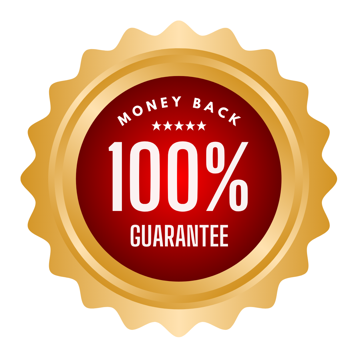 Gold badge with red center displaying 'Money Back 100% Guarantee' with stars.