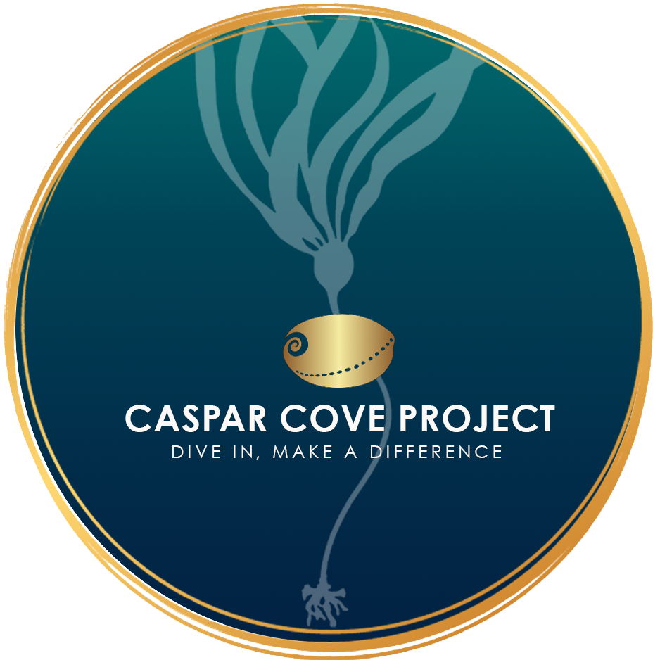 Casper Cove Project