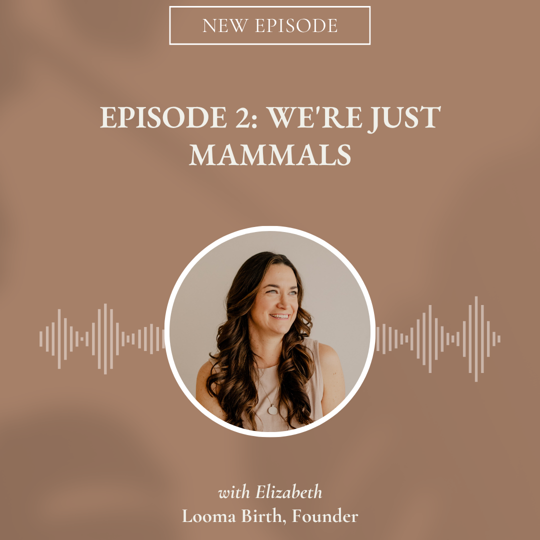 Episode 2