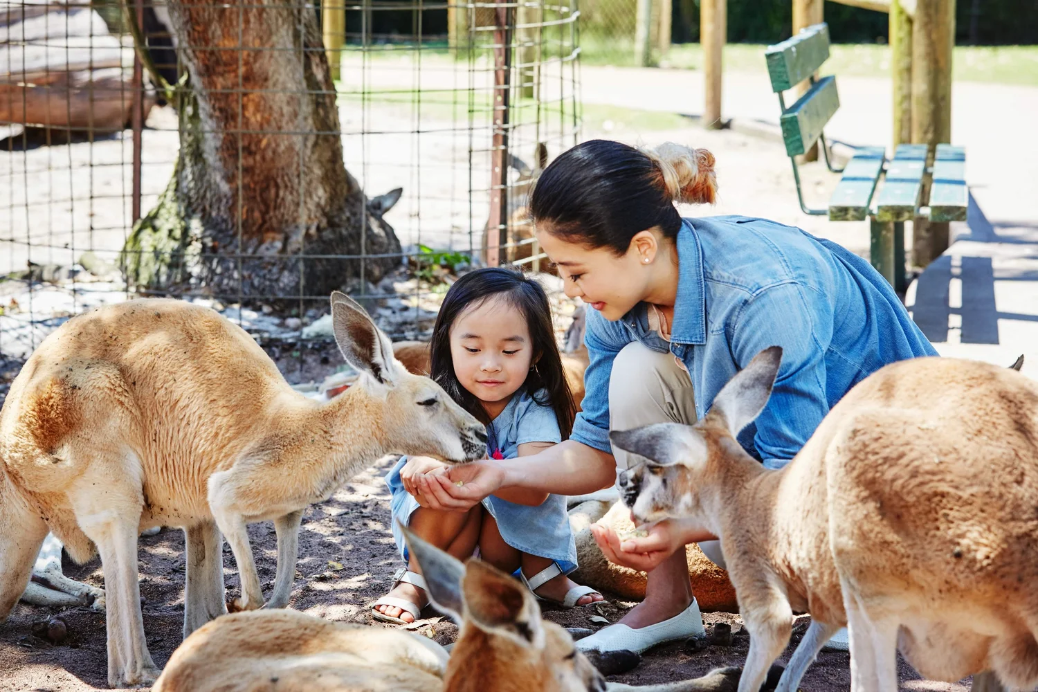 ピナクルズ・動物公園・4WD砂丘アドベンチャー — ツアー写真 2