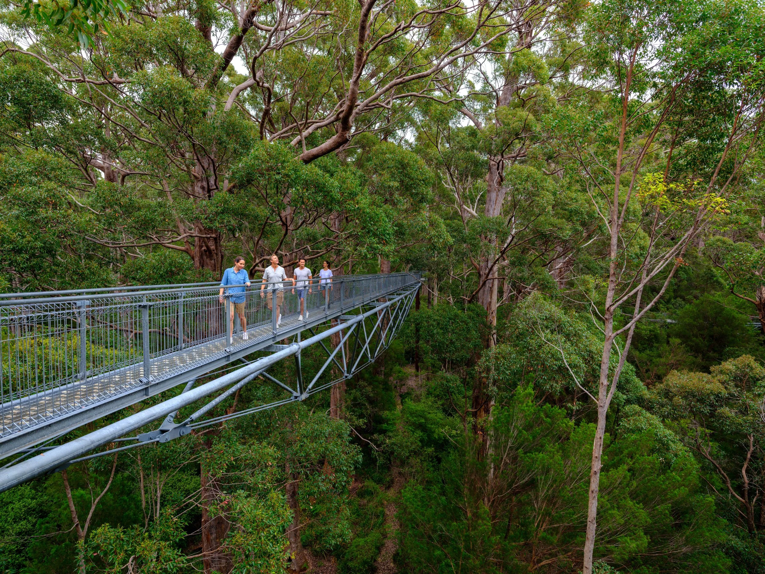Scenic drive through Margaret River region