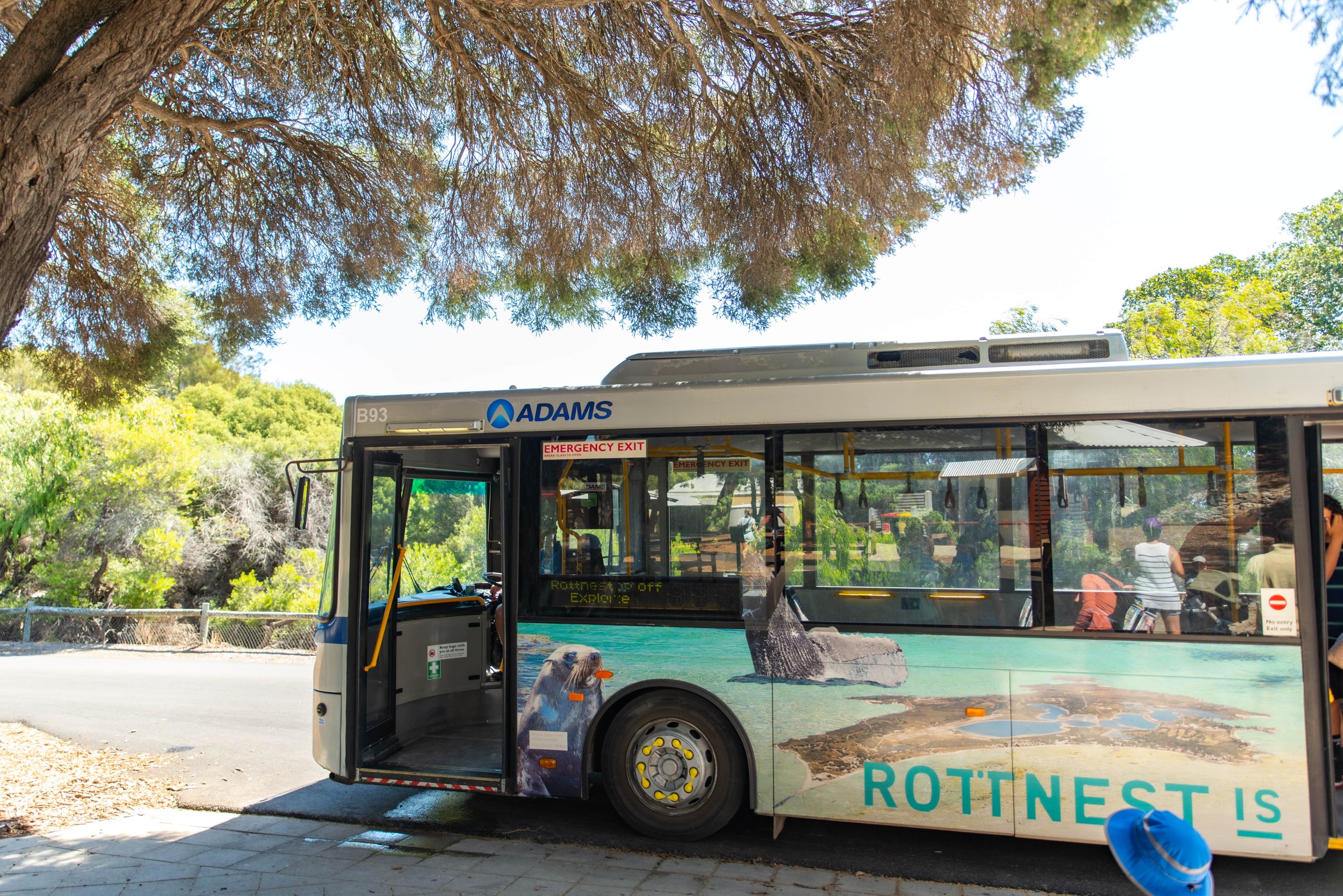 bus tour on rottnest island