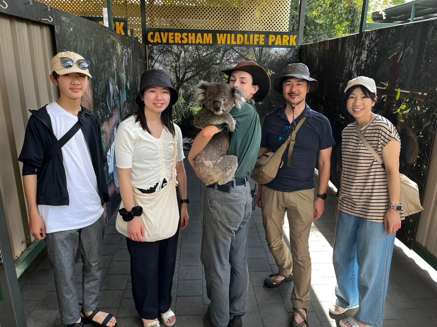 koala shimizu fam.jpeg