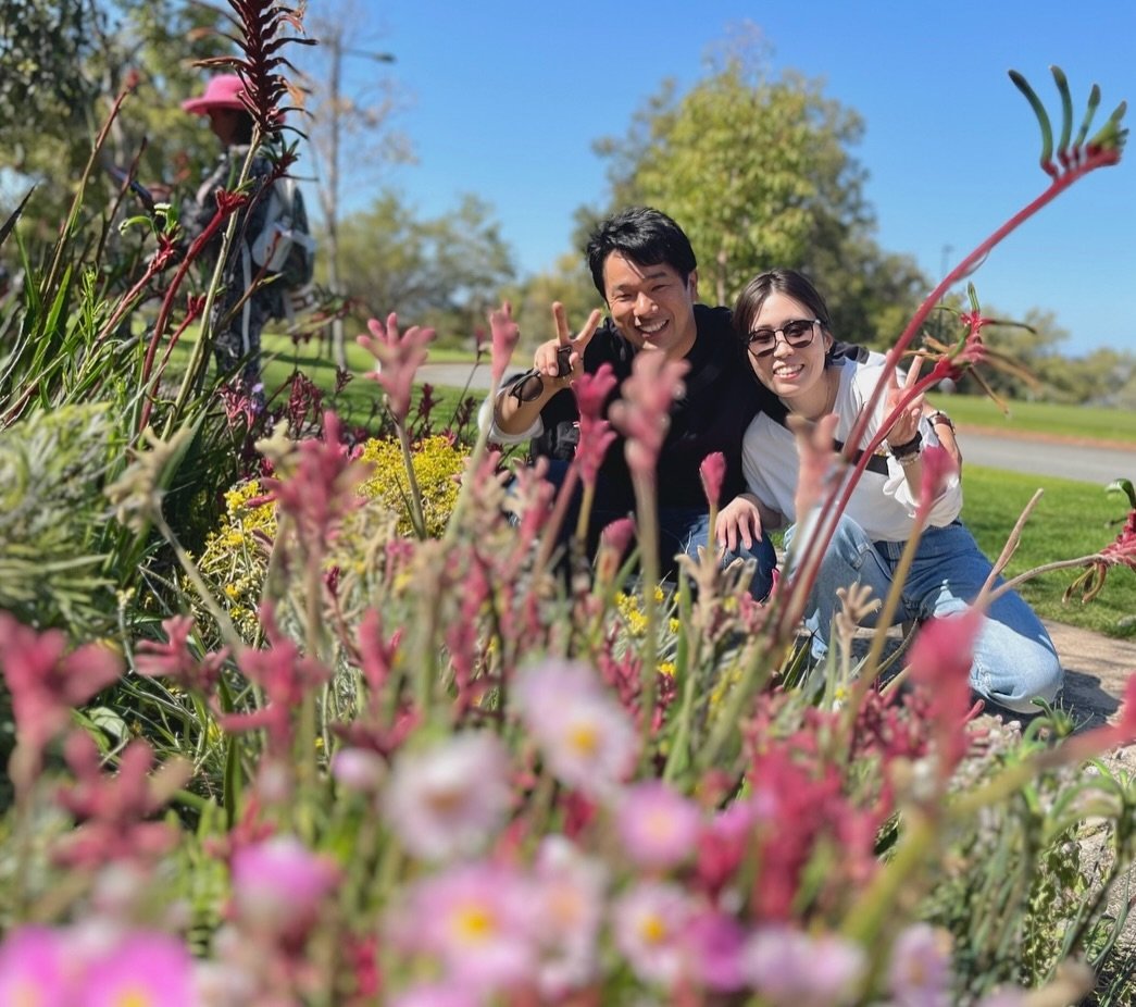 #ETWTOMA もワイルドフラワー仕様に🌸🌼💐💛
@kingsparkandbotanicgarden にて開催されている
Everlasting Kings Park festival の様子も覗けます👀✨
いつも以上に色鮮やかな #ウォーキングツアー を
おまかせガイドとお楽しみください☺️

#パース #perth #日本語おまかせツアー #西オーストラリア