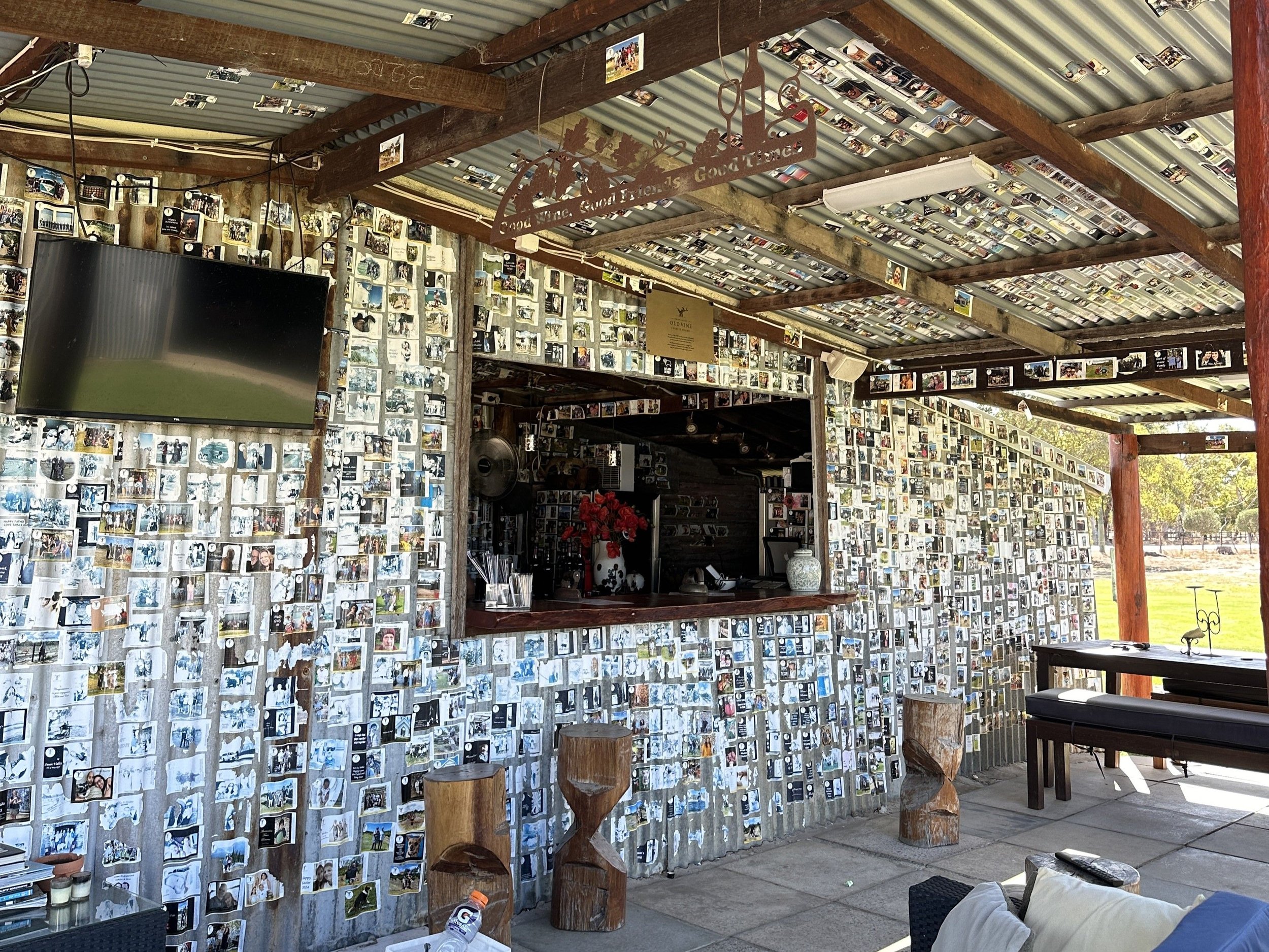 Tylers vineyard3.JPG