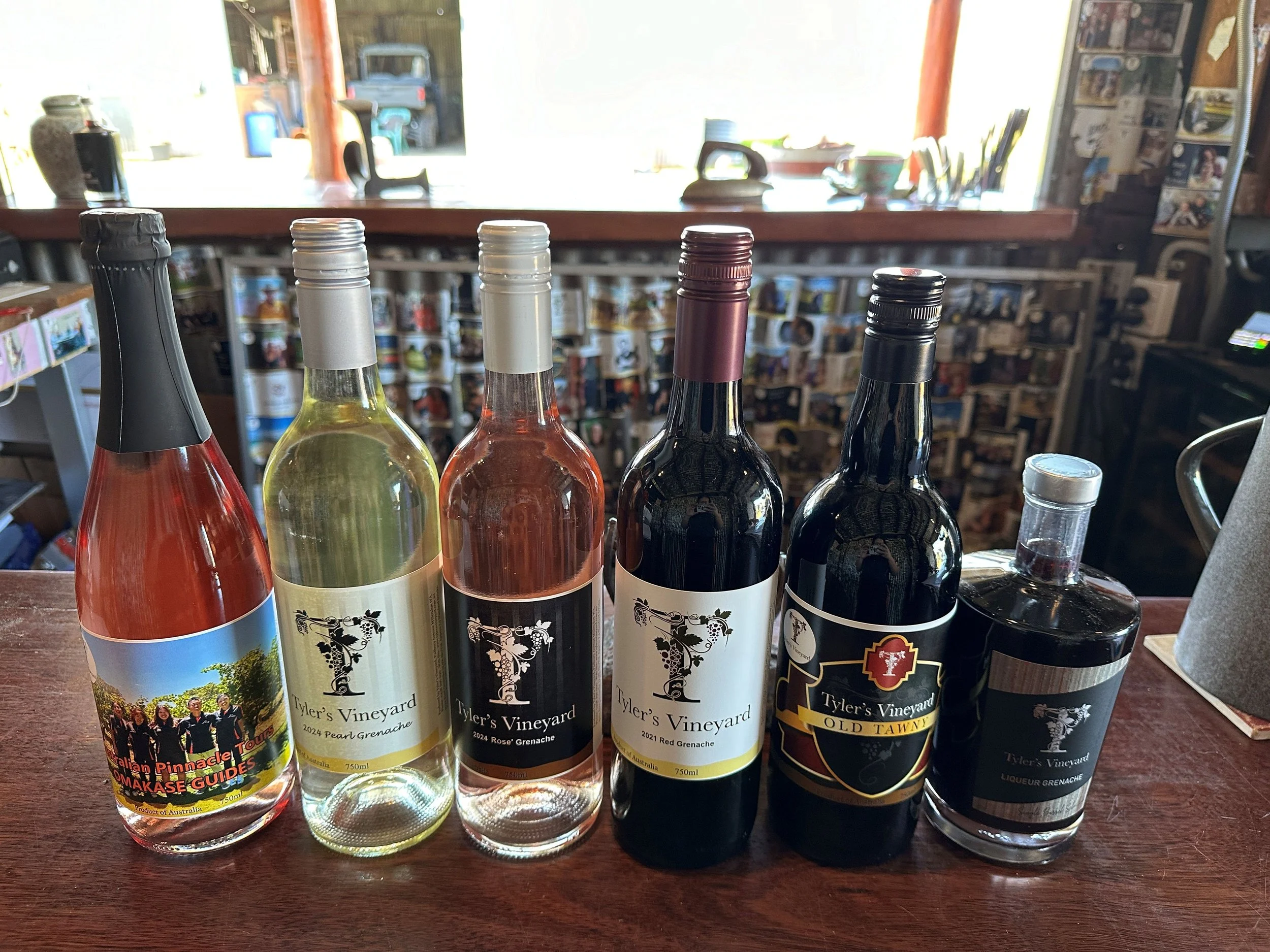 Tylers vineyard1.JPG