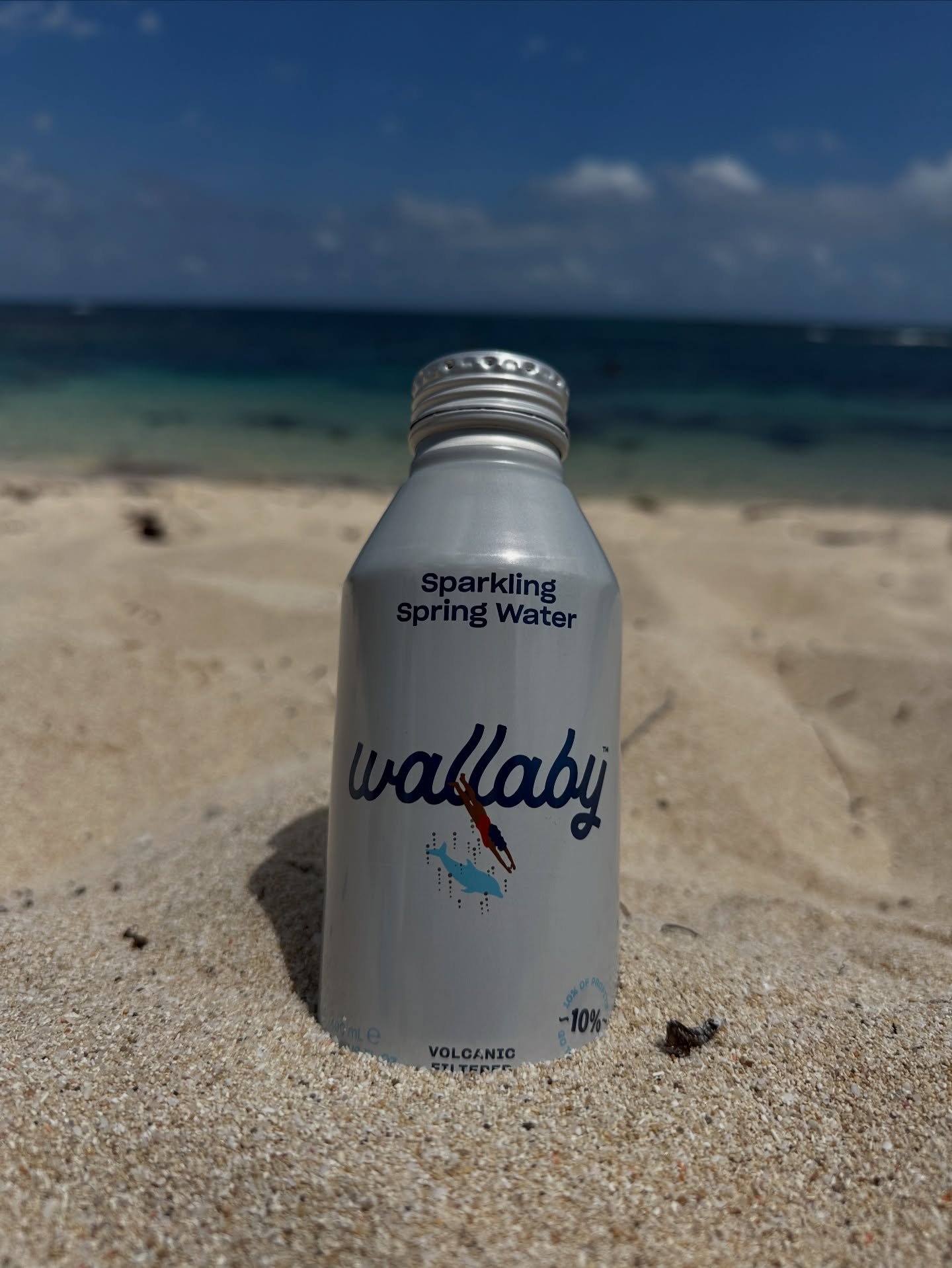 これから暑い日が続きますので、 
#パース 滞在中には水分補給を十分に心がけ下さい💧

@drinkwallaby は環境に優しい缶入りの
オーストラリア産のお水です🌏🩵
売り上げの一部が #オーストラリア の野生動物の支援に
役立てられるという素晴らしい取り組みも行われています😊💚♻️

#夏 #summer #ロットネスト島