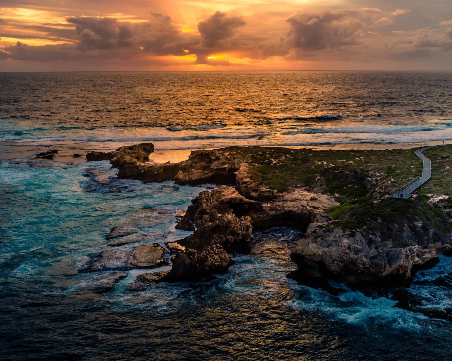 Rottnest Seals, Sunset and West End Tour