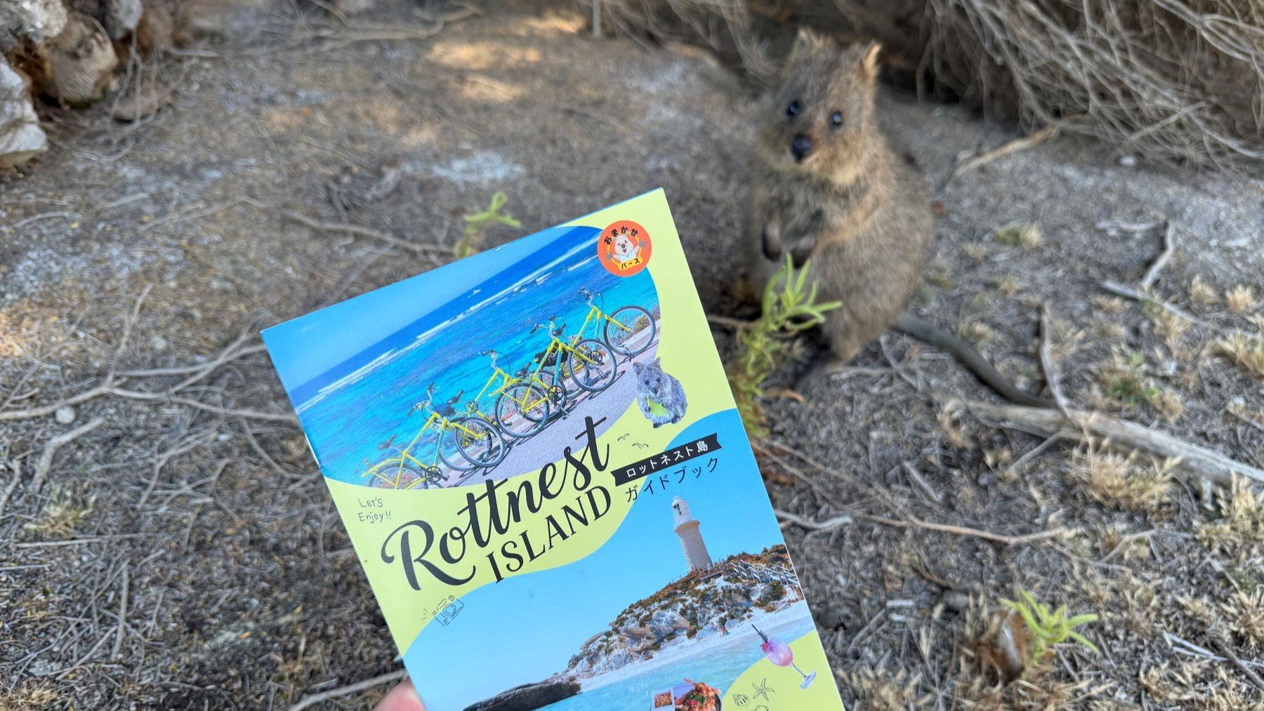 RFF guidebook1 v2.JPG