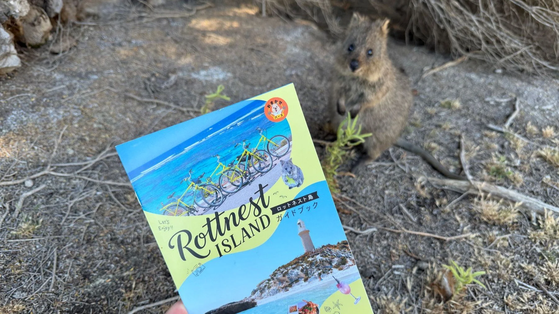 RFF guidebook1 v2.JPG