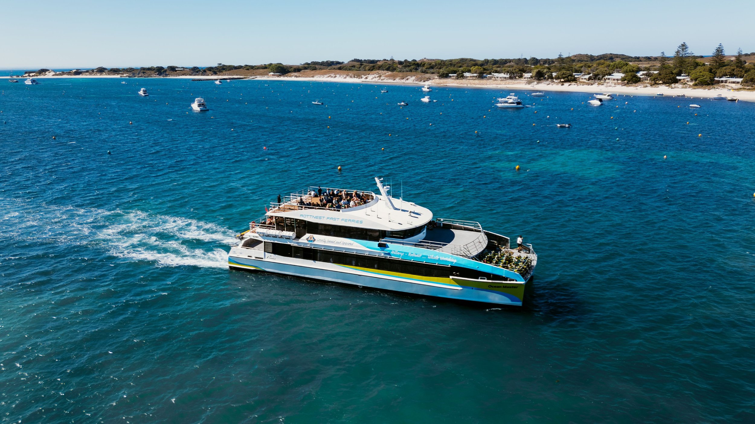 ロットネスト島 日本語おまかせバス半日ツアー（RFF-OMA-H） 