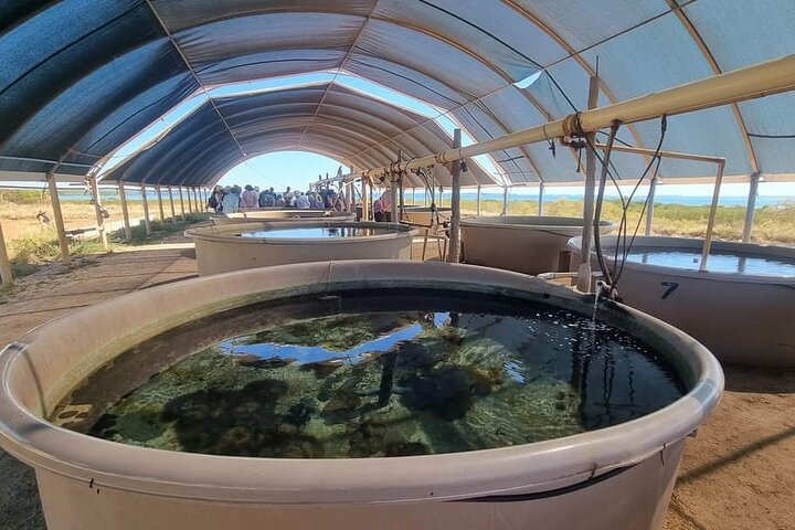 One arm point ardy.jpg