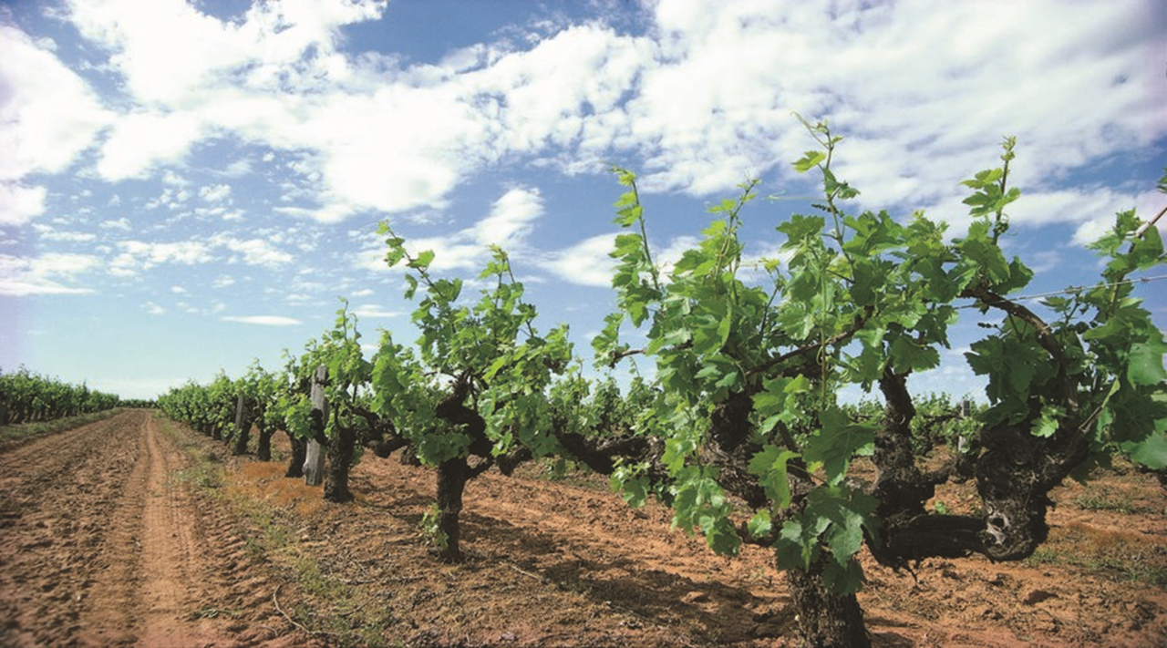 2 Day Margaret River Wine Tour and Food Lovers Experience