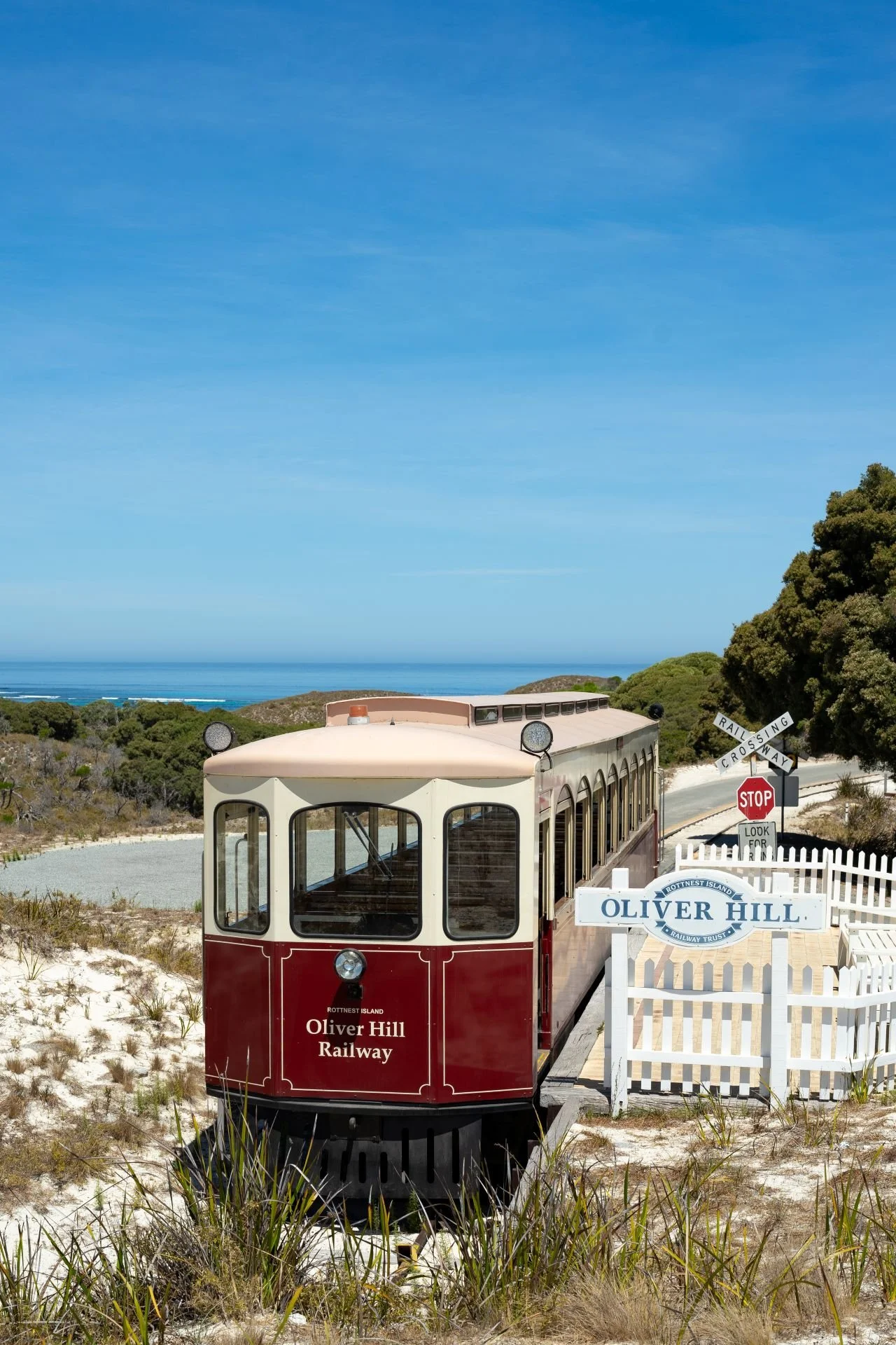 Australia - Rottnest Island - Quokka Coaches - 20.02.24-04.jpg