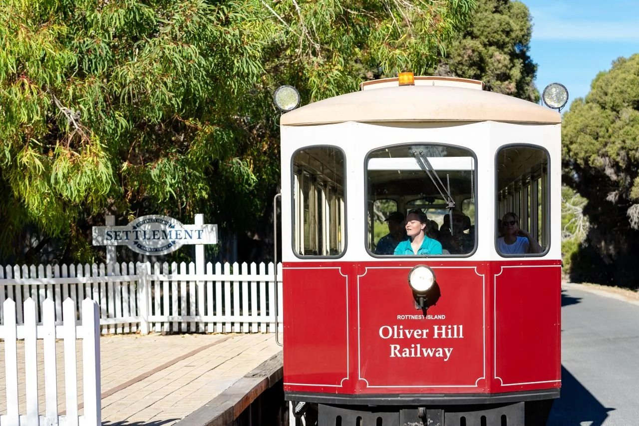 Australia - Rottnest Island - Quokka Coaches - 19.05.24-10.jpg