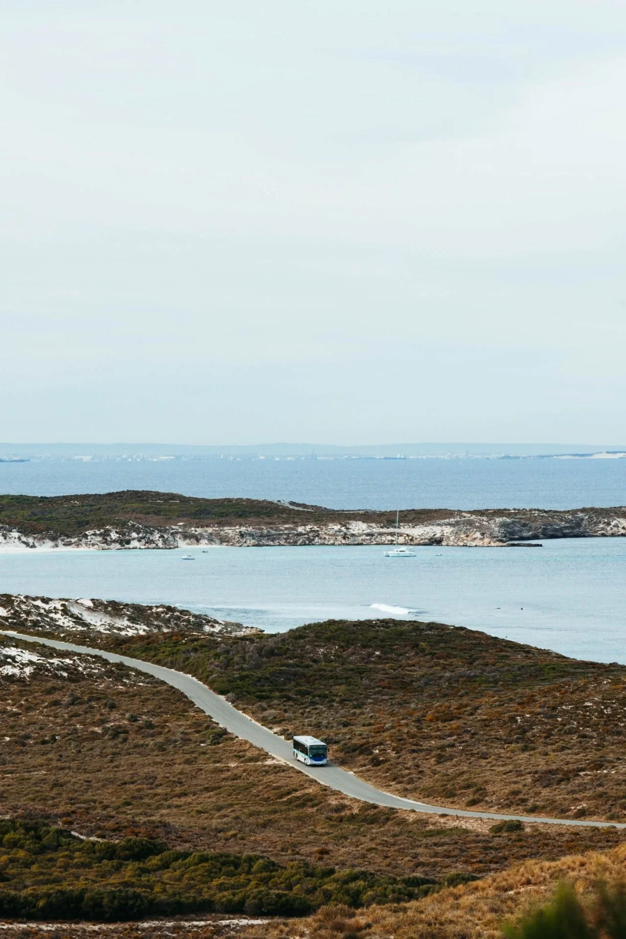 2405_QKC-Island-Explorer-Quokka-Coaches-Landscape-6 cropped.jpg