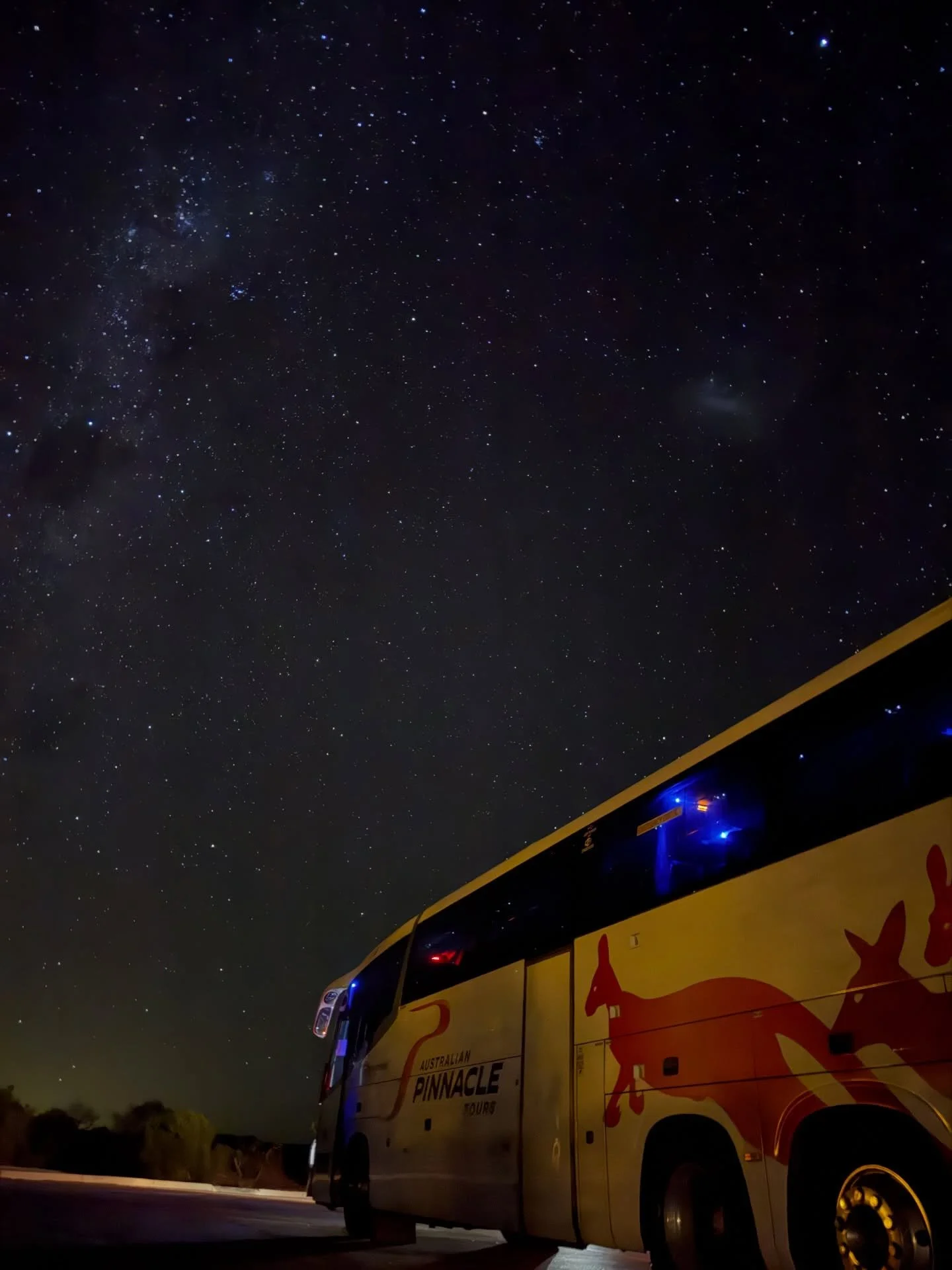 加工なしでこの美しさ&hellip;😍✨🌌💫 
#サンセットピナクルズと星空鑑賞ツアーでの一枚です🏜️🌟 

西オーストラリアの大自然が生み出す、息をのむような星空。 
日常を忘れる、特別な時間をぜひ体験してください✨ 

#PSGOMA #ピナクルズ #星空鑑賞 #オーストラリアンピナクルツアーズ