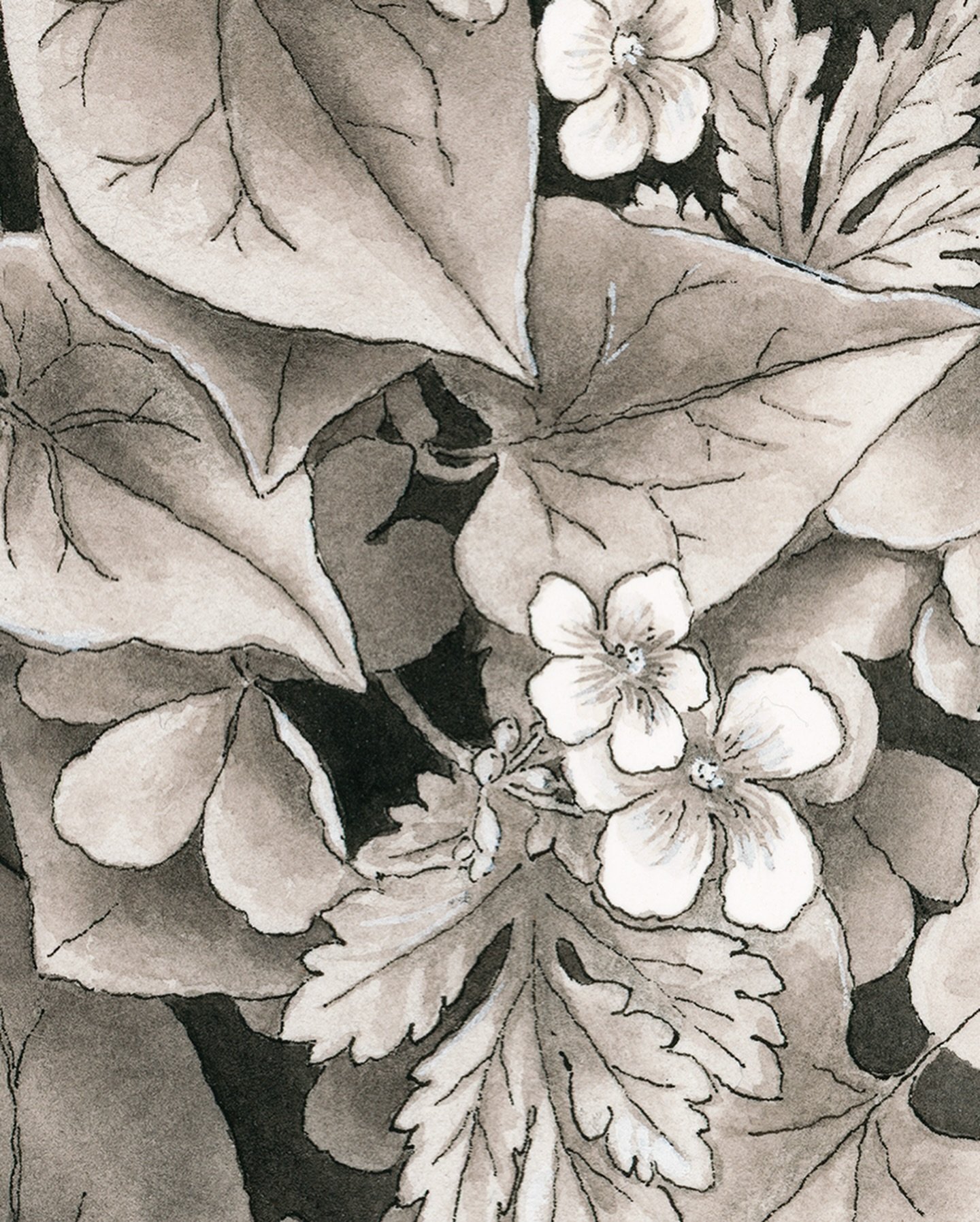 【個展「小さくも広大なる世界」】閉幕しました

OPAgalleryさんでの個展「小さくも広大なる世界」、先日無事に閉幕いたしました。
沢山の方とお話しさせていただいて、
搬出後の帰り道は家に帰ってもなんだかふわふわした気持ちでした。
昨日今日と、お仕事など進めながら、
少しずつ日常へとチューニングしているところです。

お越しくださったみなさま、
気にかけてくださったみなさま、
諸々ご配慮いただいたお取引先のみなさま、
そしてOPA galleryのみなさま、
本当にありがとうございました。

